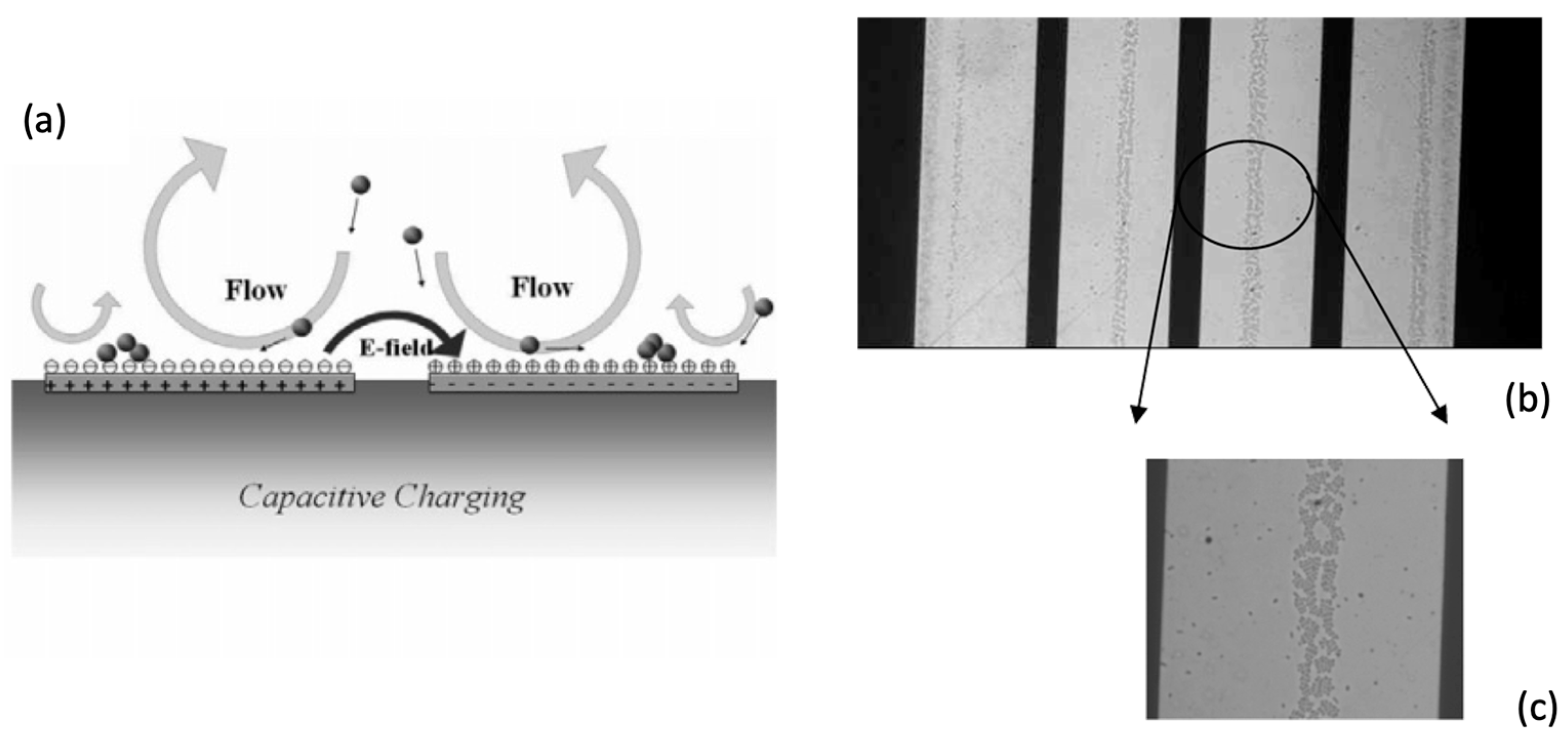 Micromachines 15 00699 g010