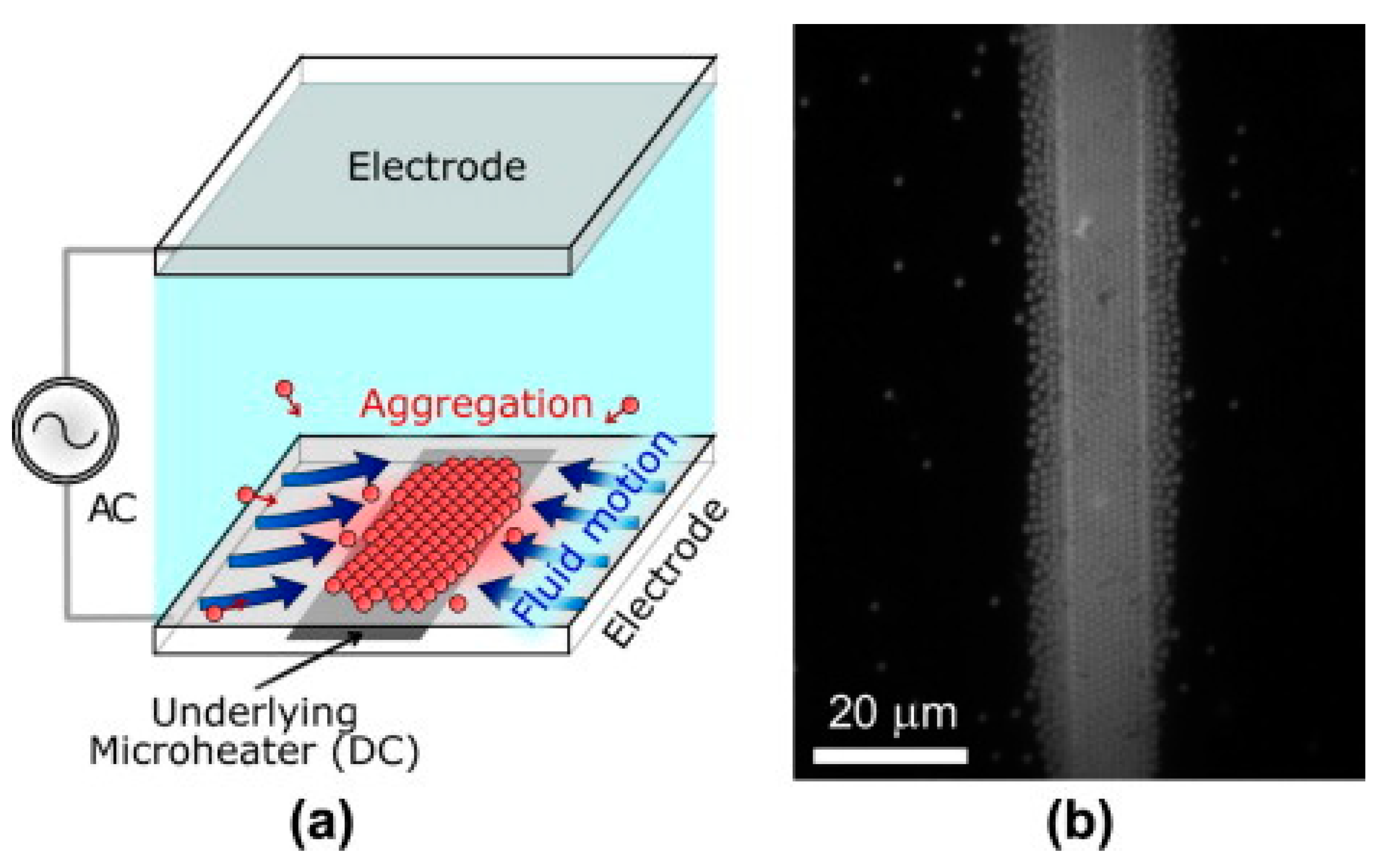 Micromachines 15 00699 g012