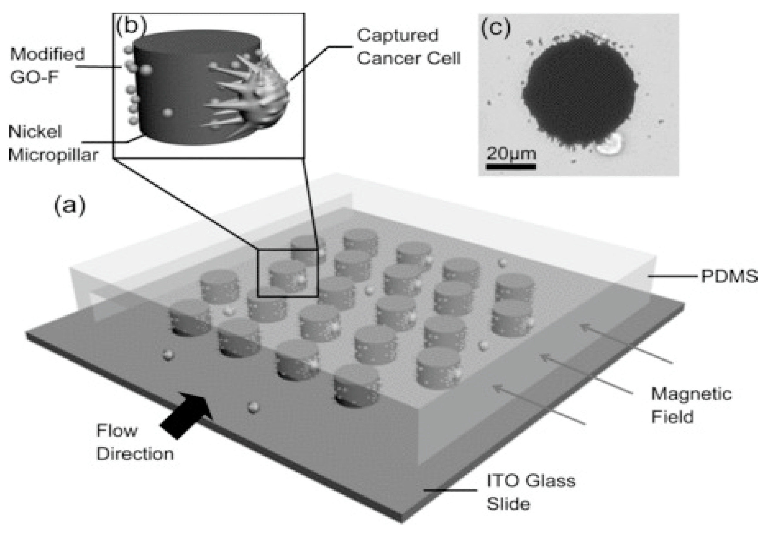 Micromachines 15 00699 g015