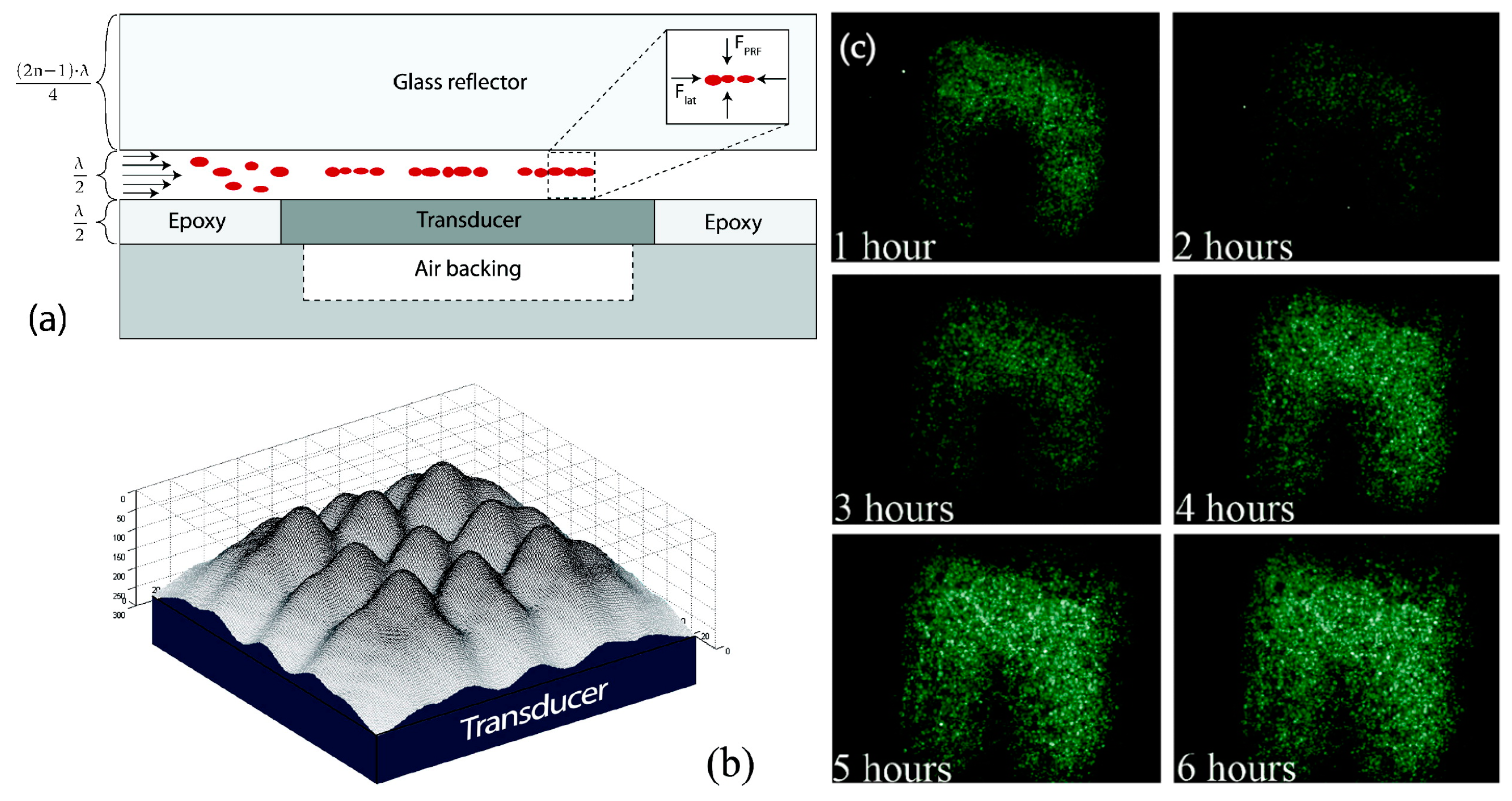 Micromachines 15 00699 g016