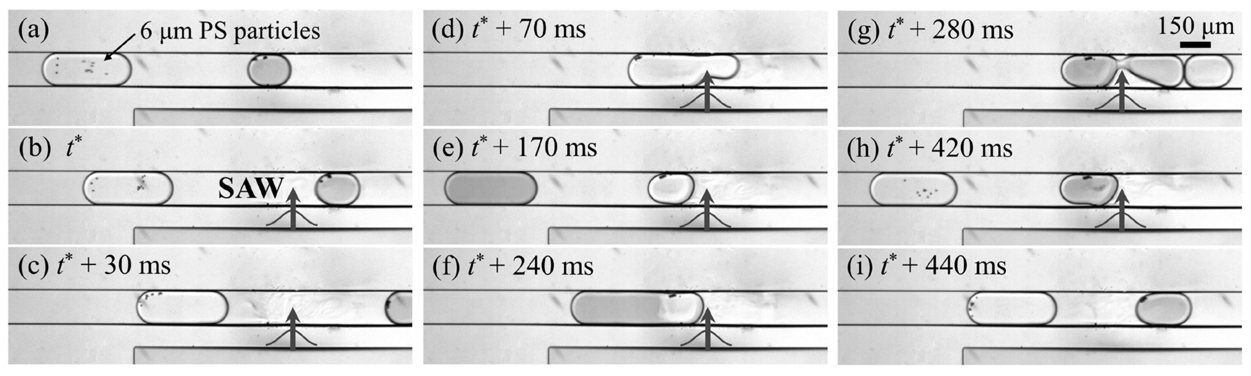 Micromachines 15 00699 g017