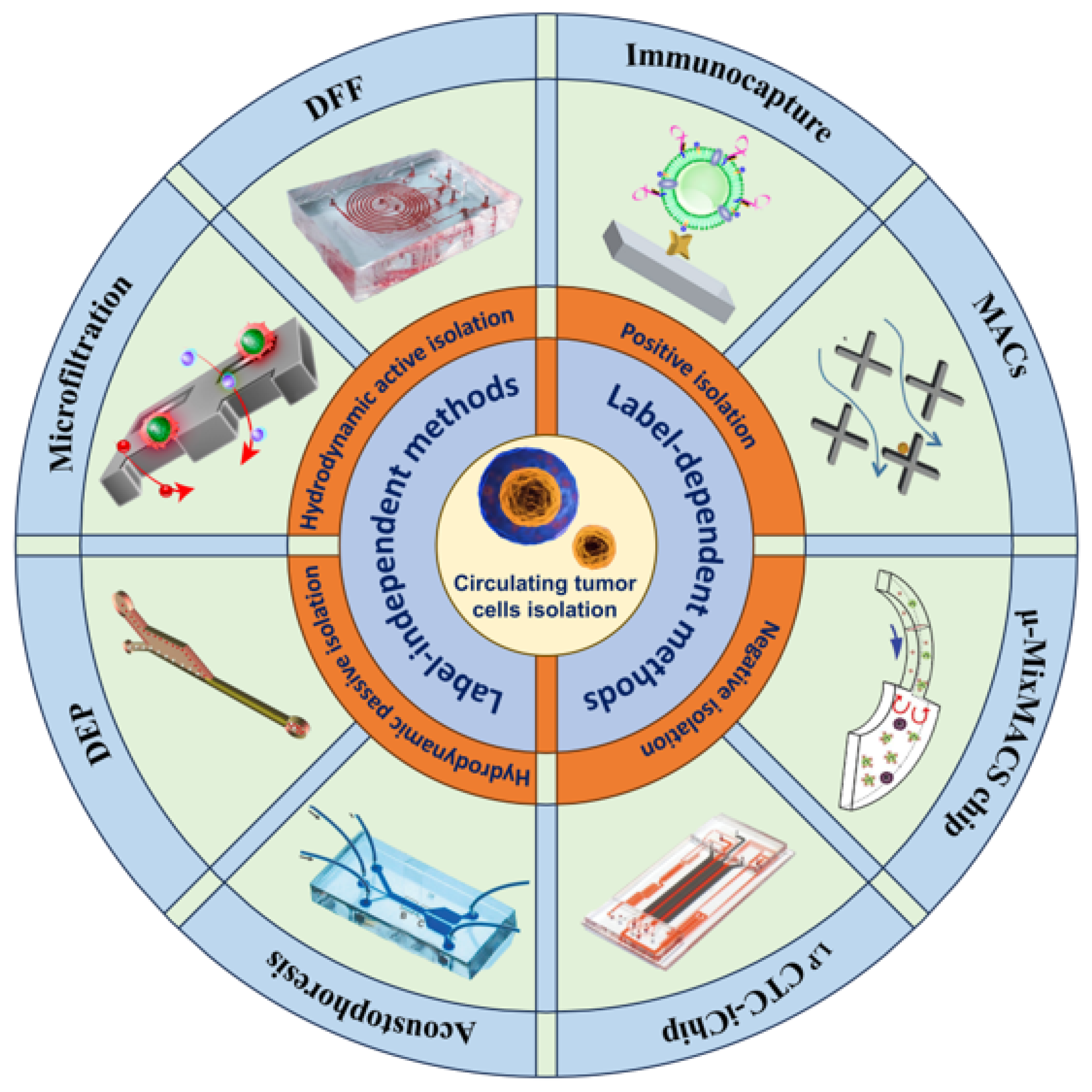 Micromachines 15 00706 g001