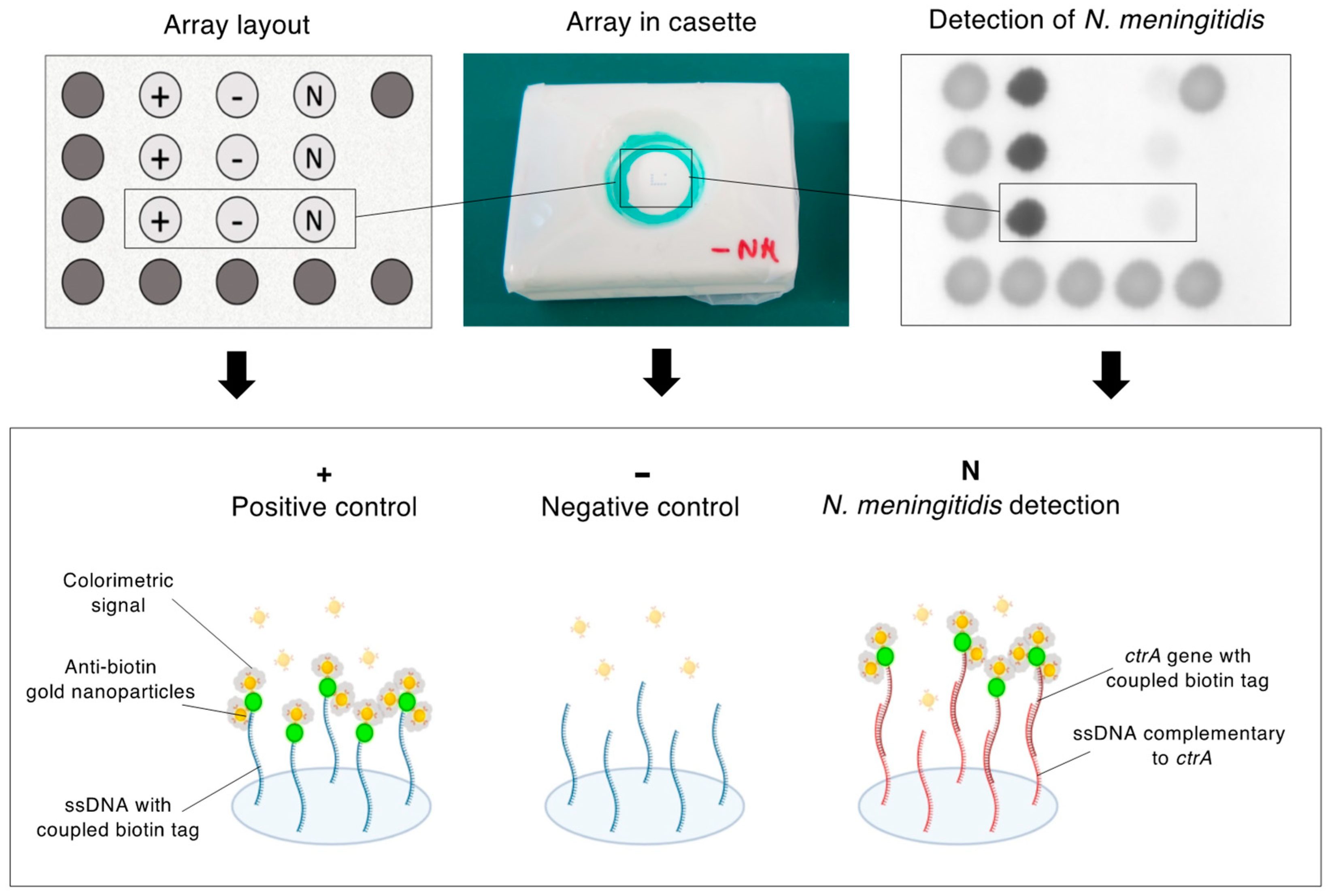 Micromachines 15 00708 g002