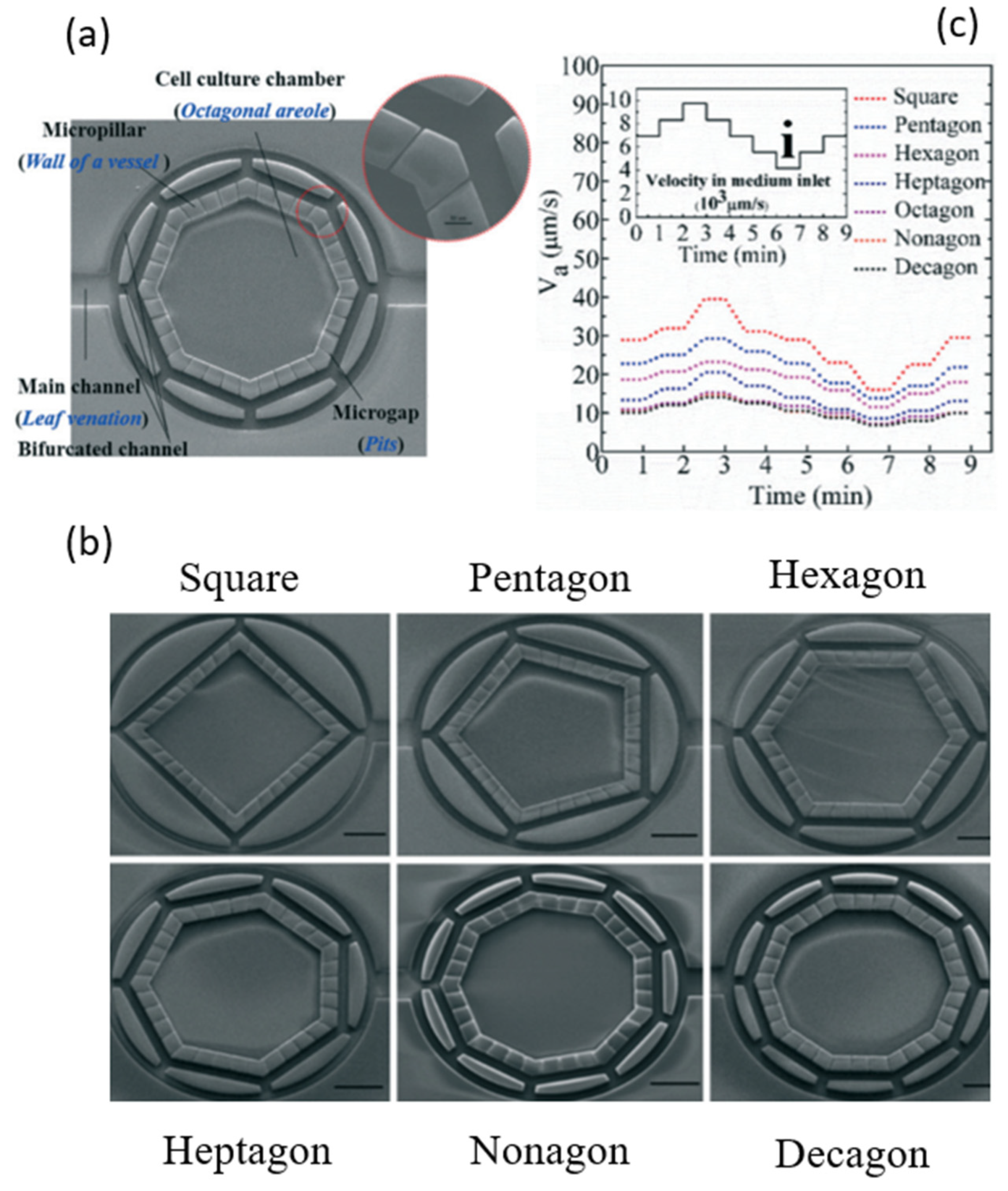 Micromachines 15 00720 g003