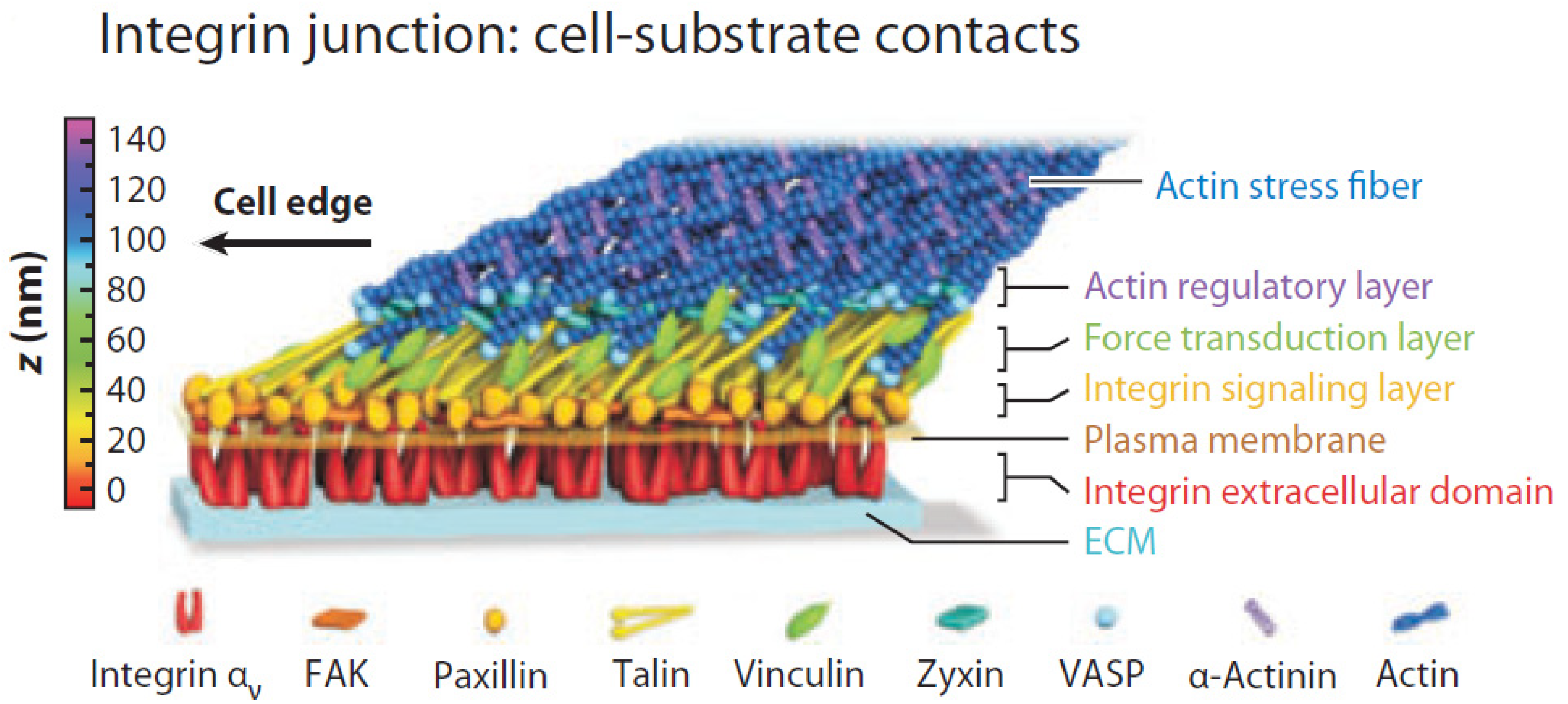 Micromachines 15 00720 g004