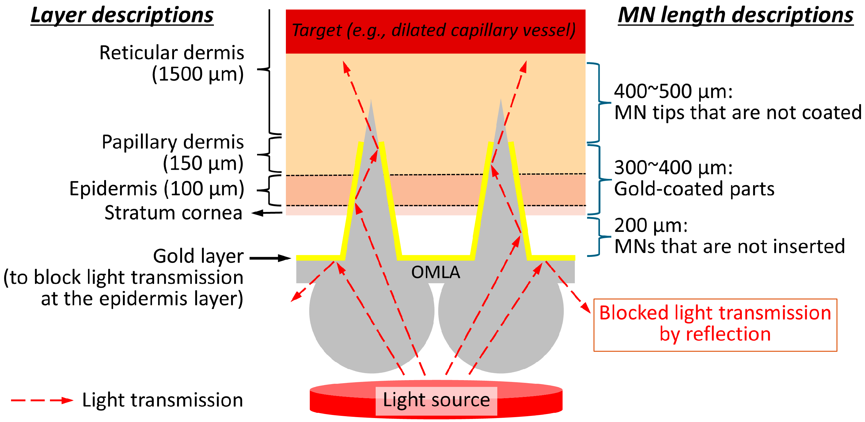 Micromachines 15 00725 g002