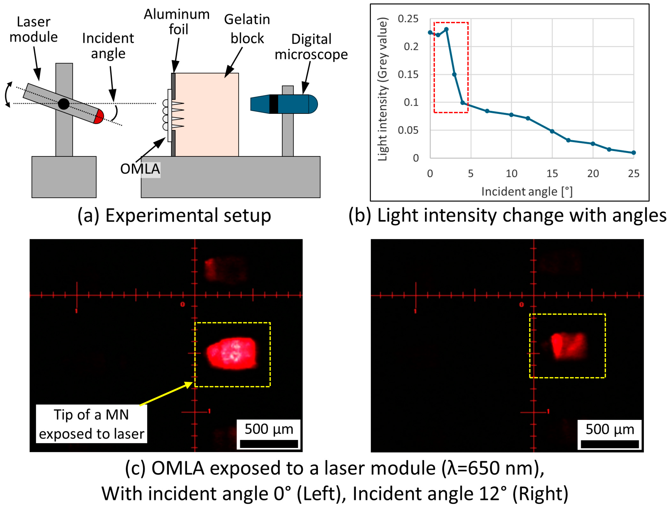 Micromachines 15 00725 g005