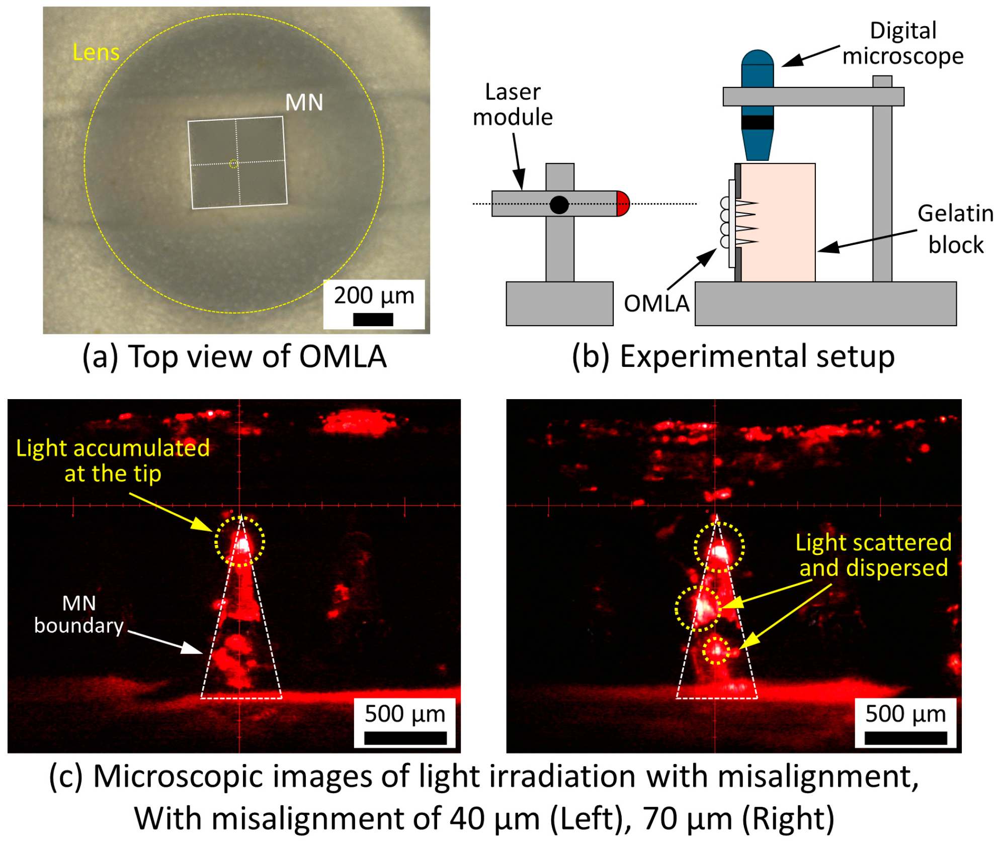 Micromachines 15 00725 g006