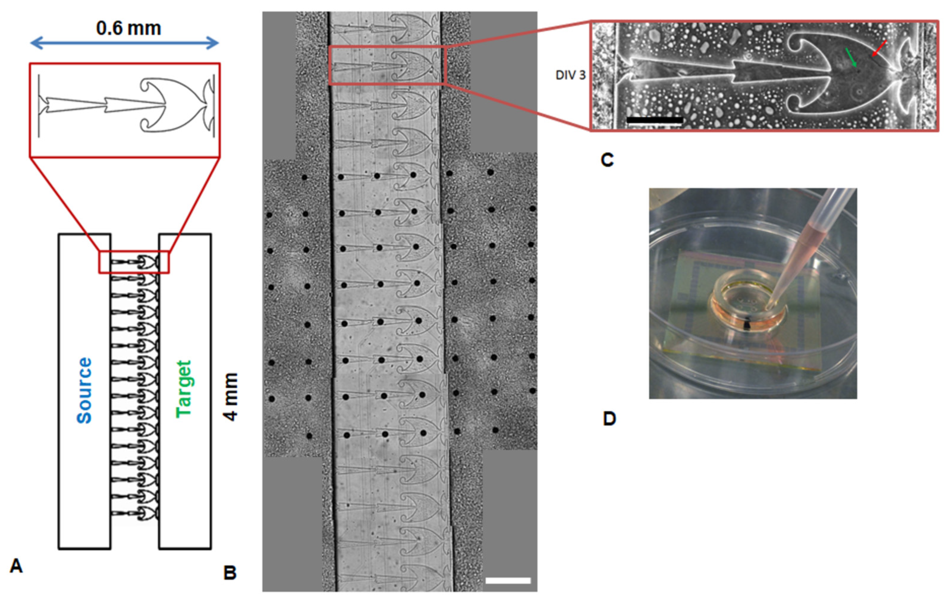 Micromachines 15 00732 g001