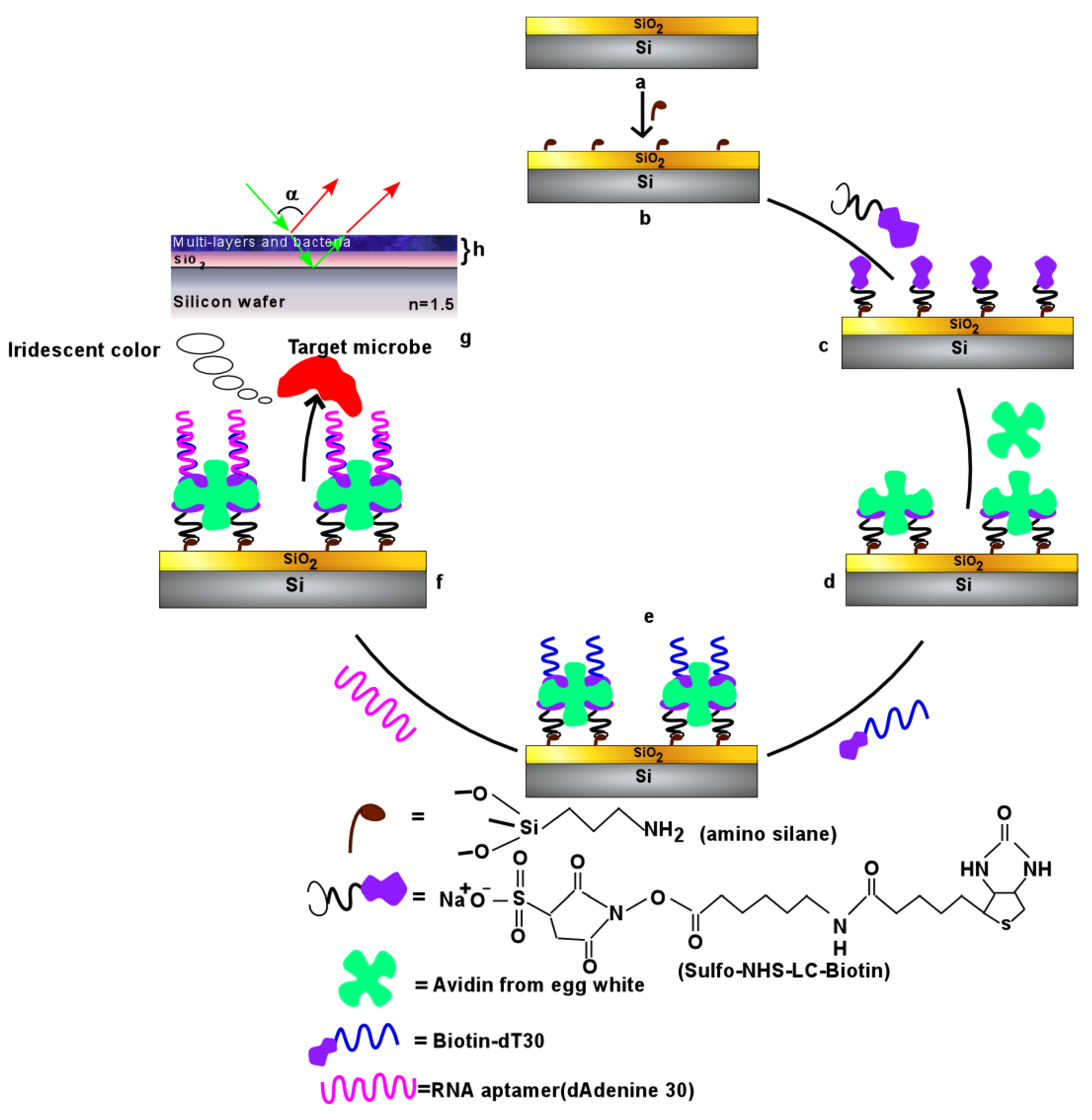 Micromachines 15 00741 sch001