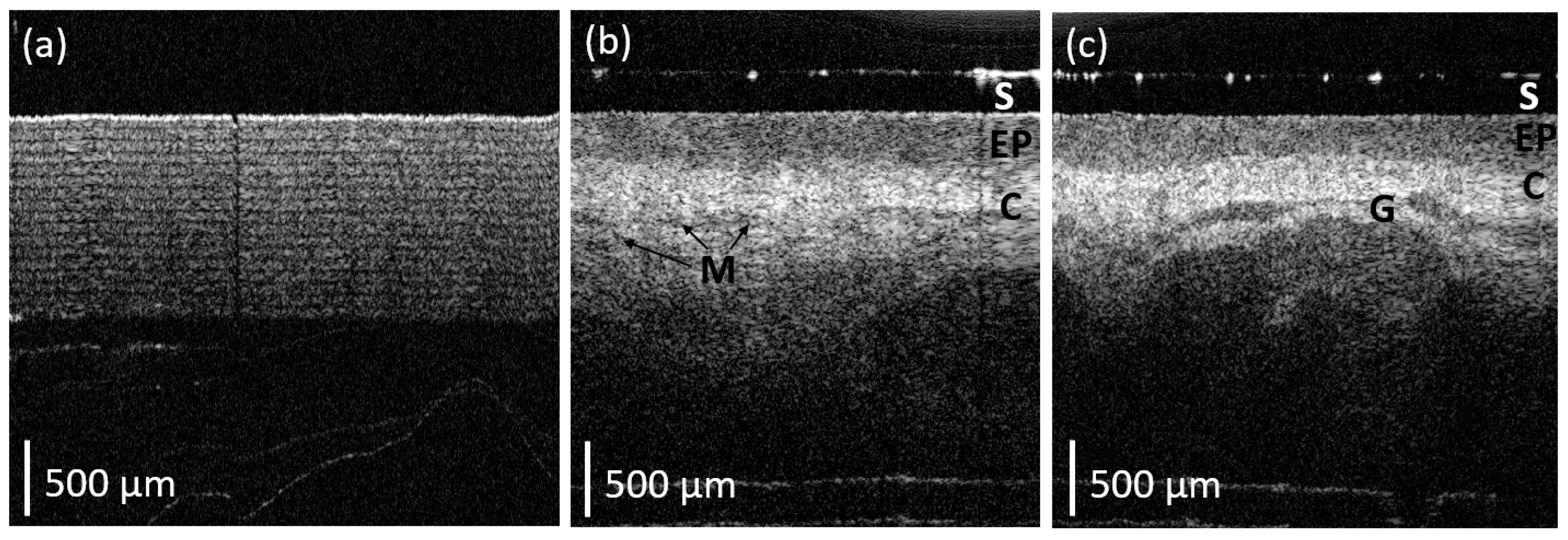 Micromachines 15 00742 g005