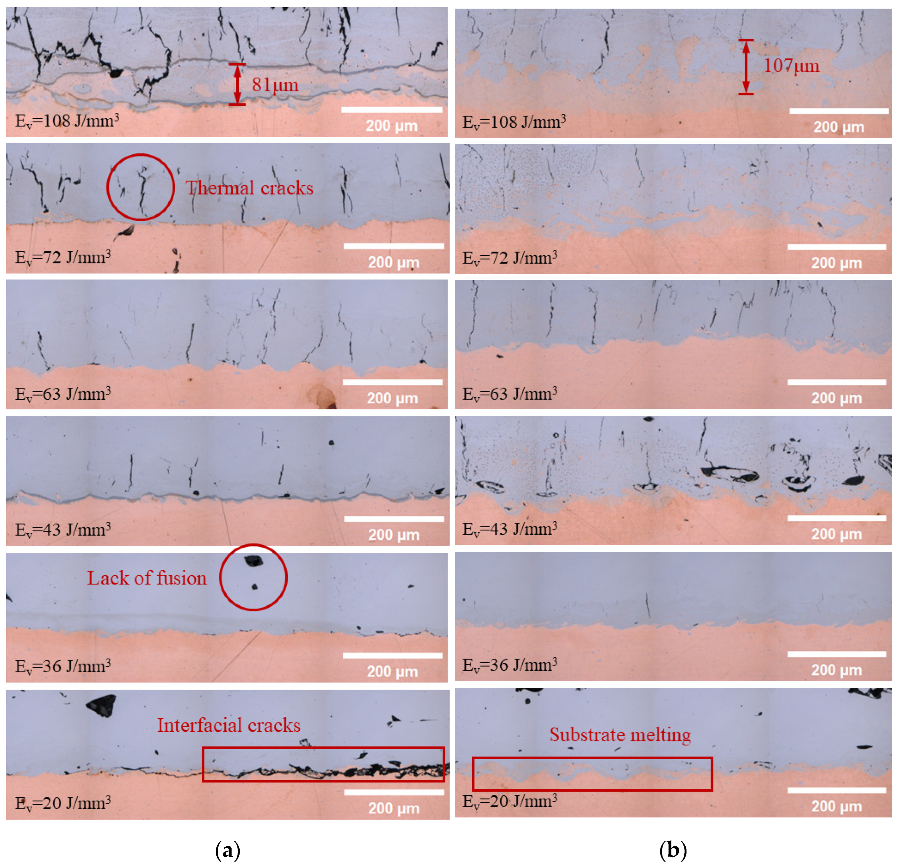 Micromachines 15 00765 g007