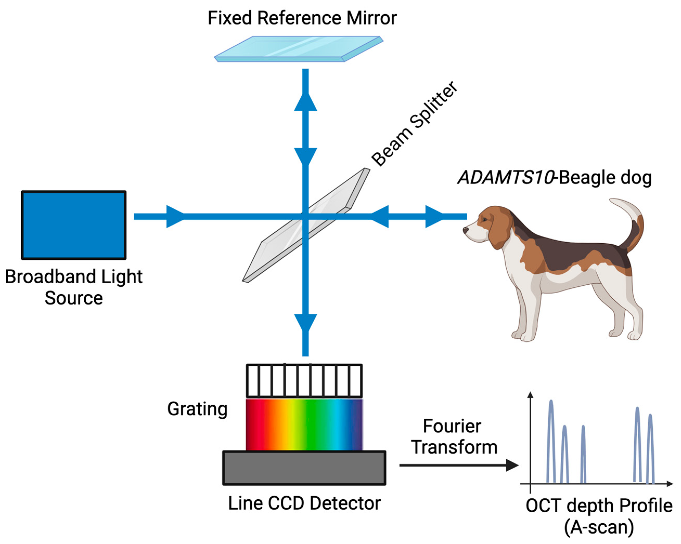 Micromachines 15 00780 g001
