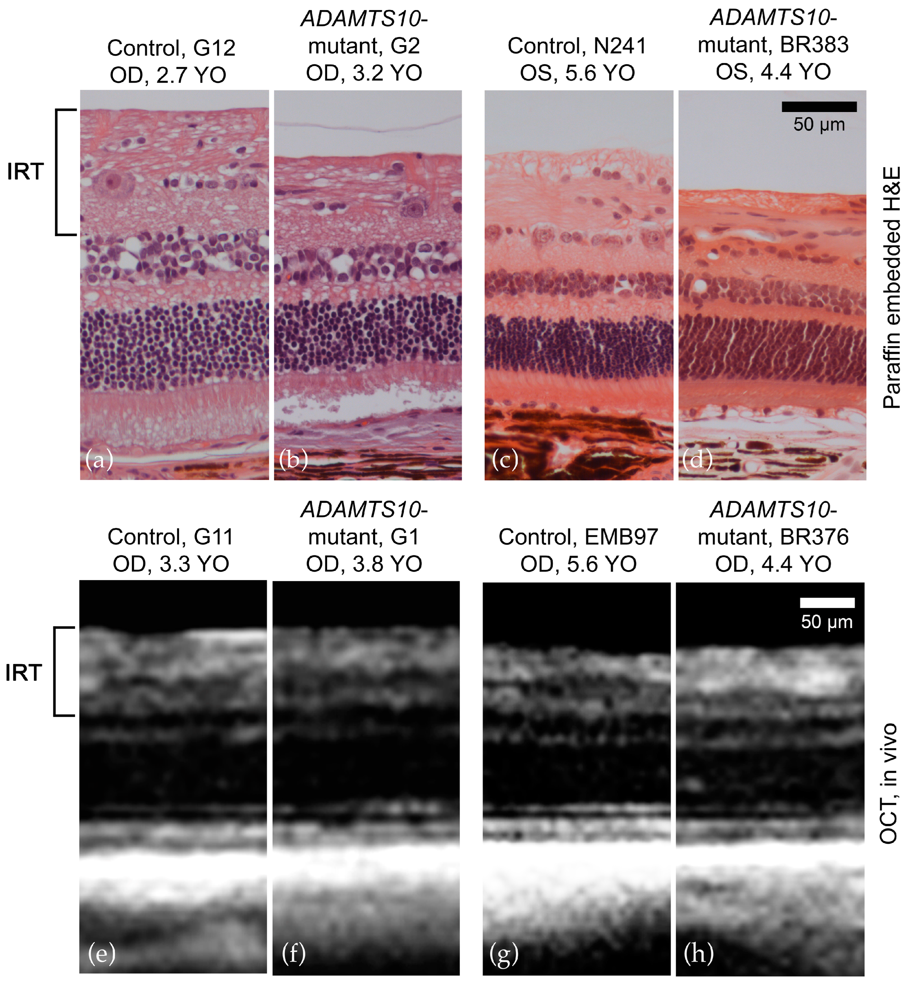 Micromachines 15 00780 g008