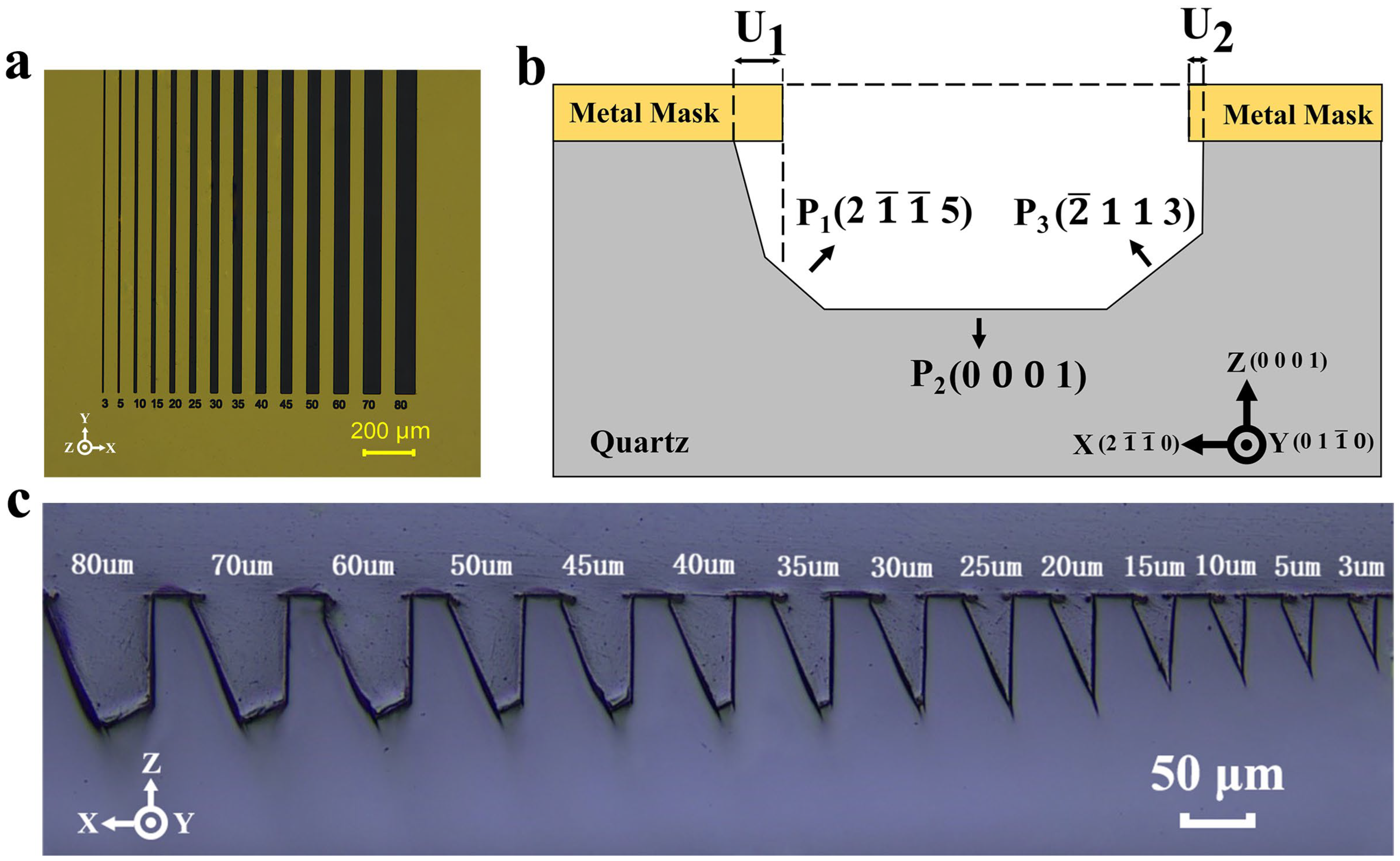 Micromachines 15 00784 g002