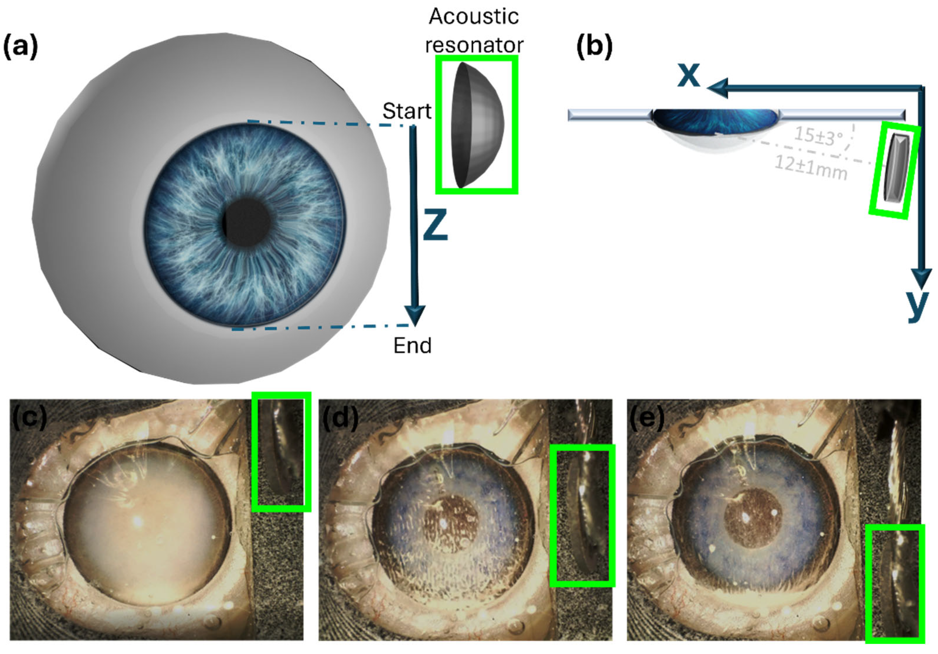 Micromachines 15 00786 g003