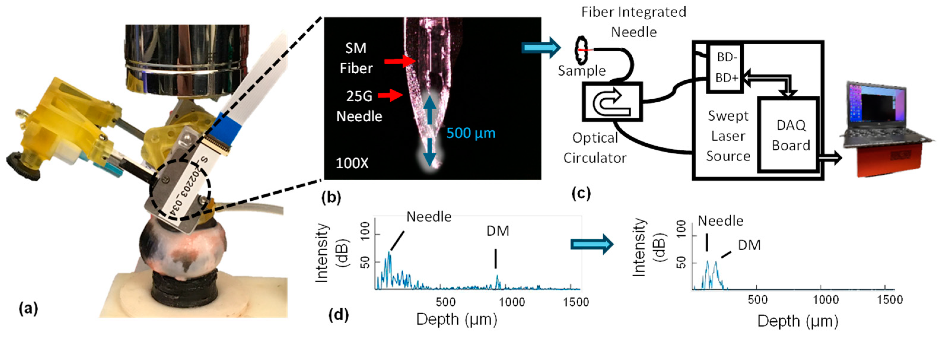 Micromachines 15 00788 g003