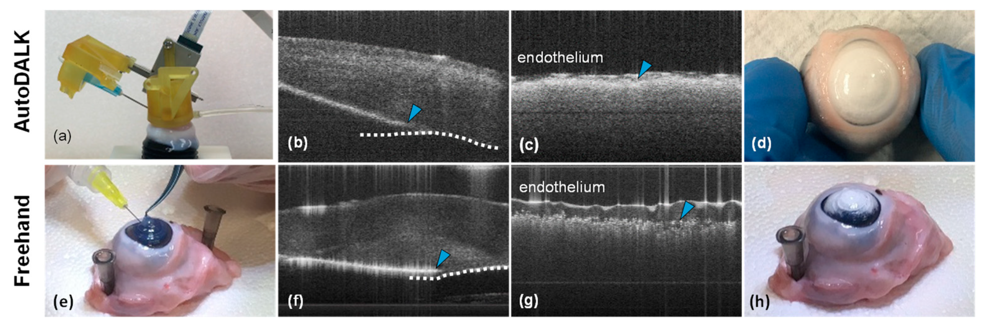 Micromachines 15 00788 g008
