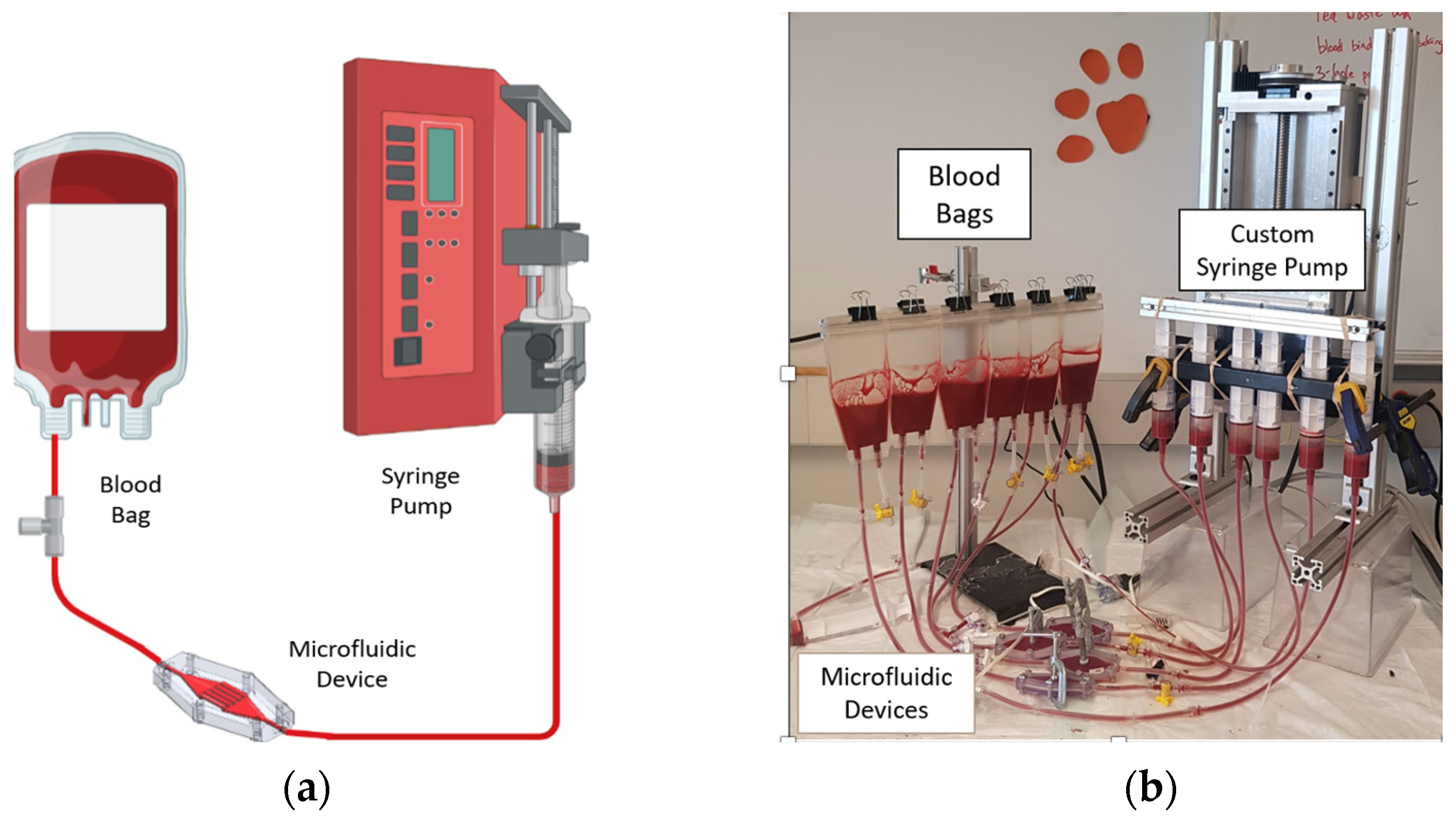 Micromachines 15 00790 g008