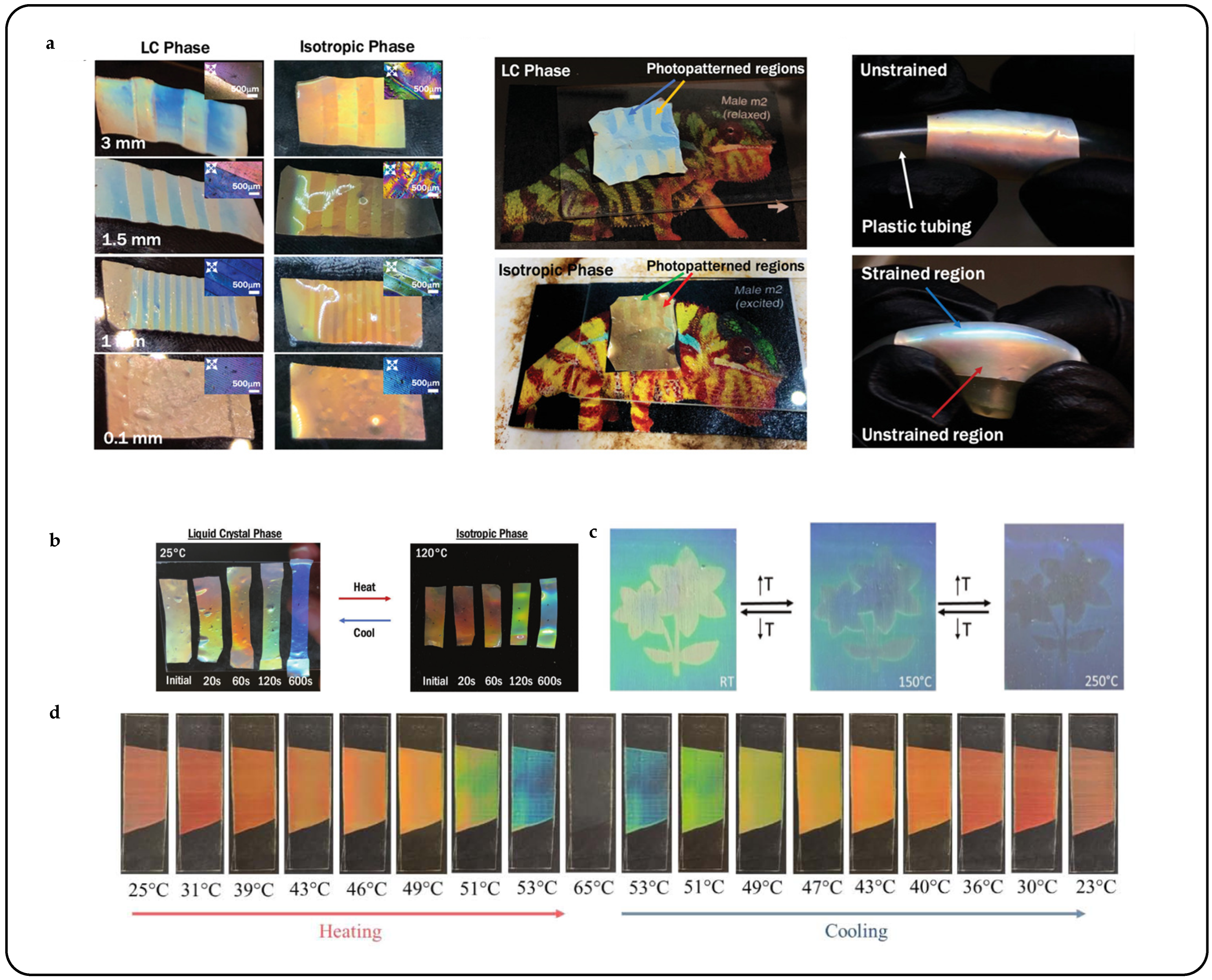 Micromachines 15 00808 g010