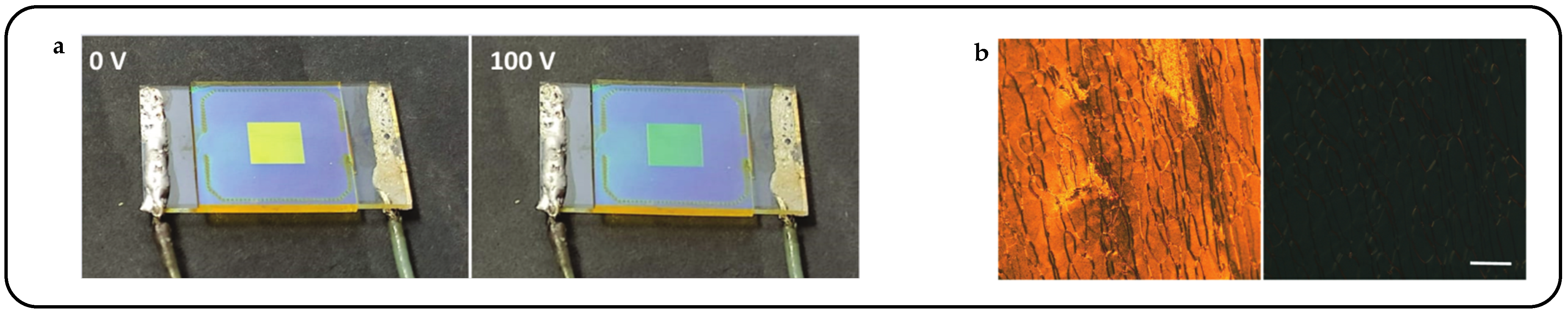 Micromachines 15 00808 g013