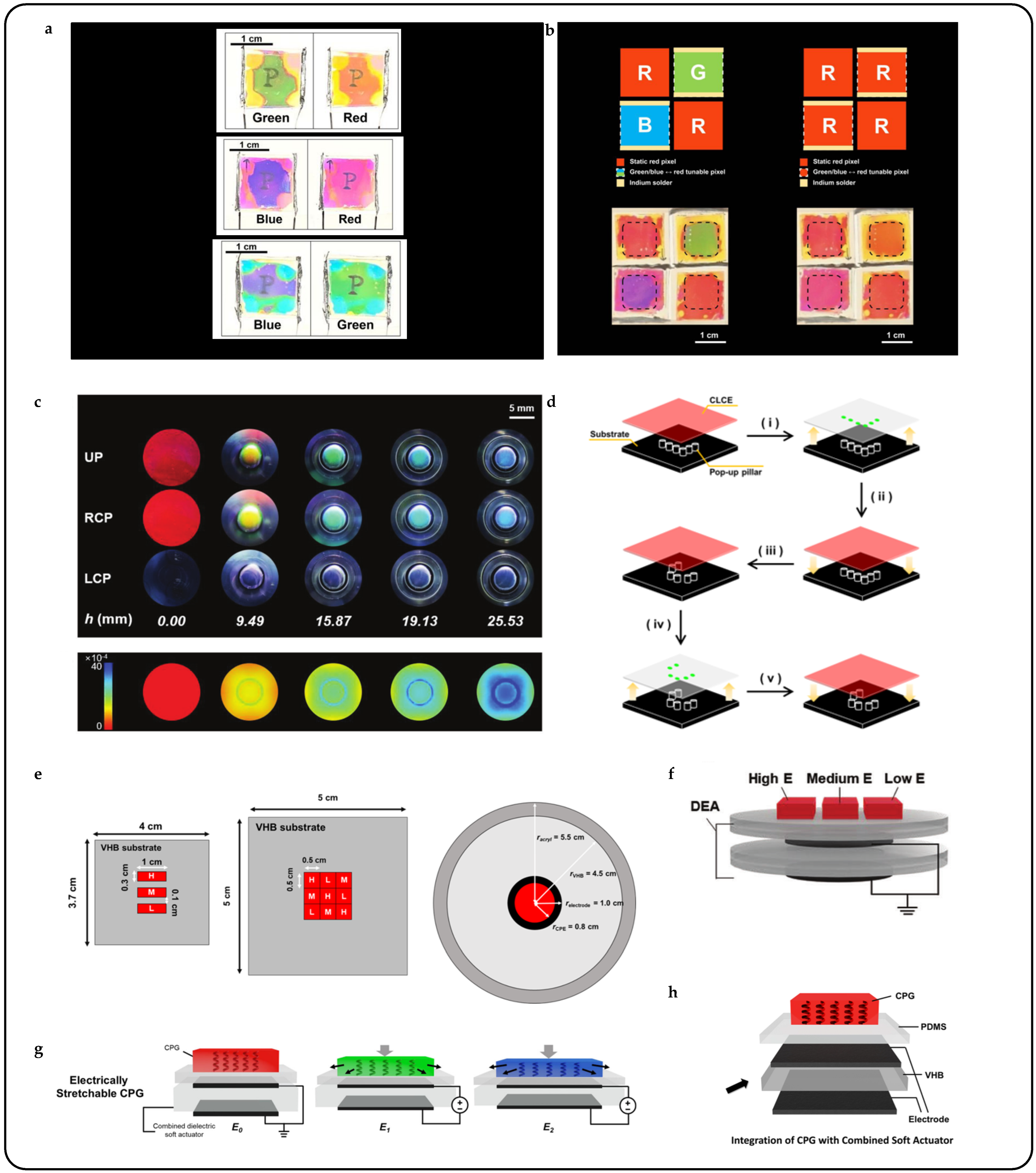 Beyond Color Boundaries: Pioneering Developments in