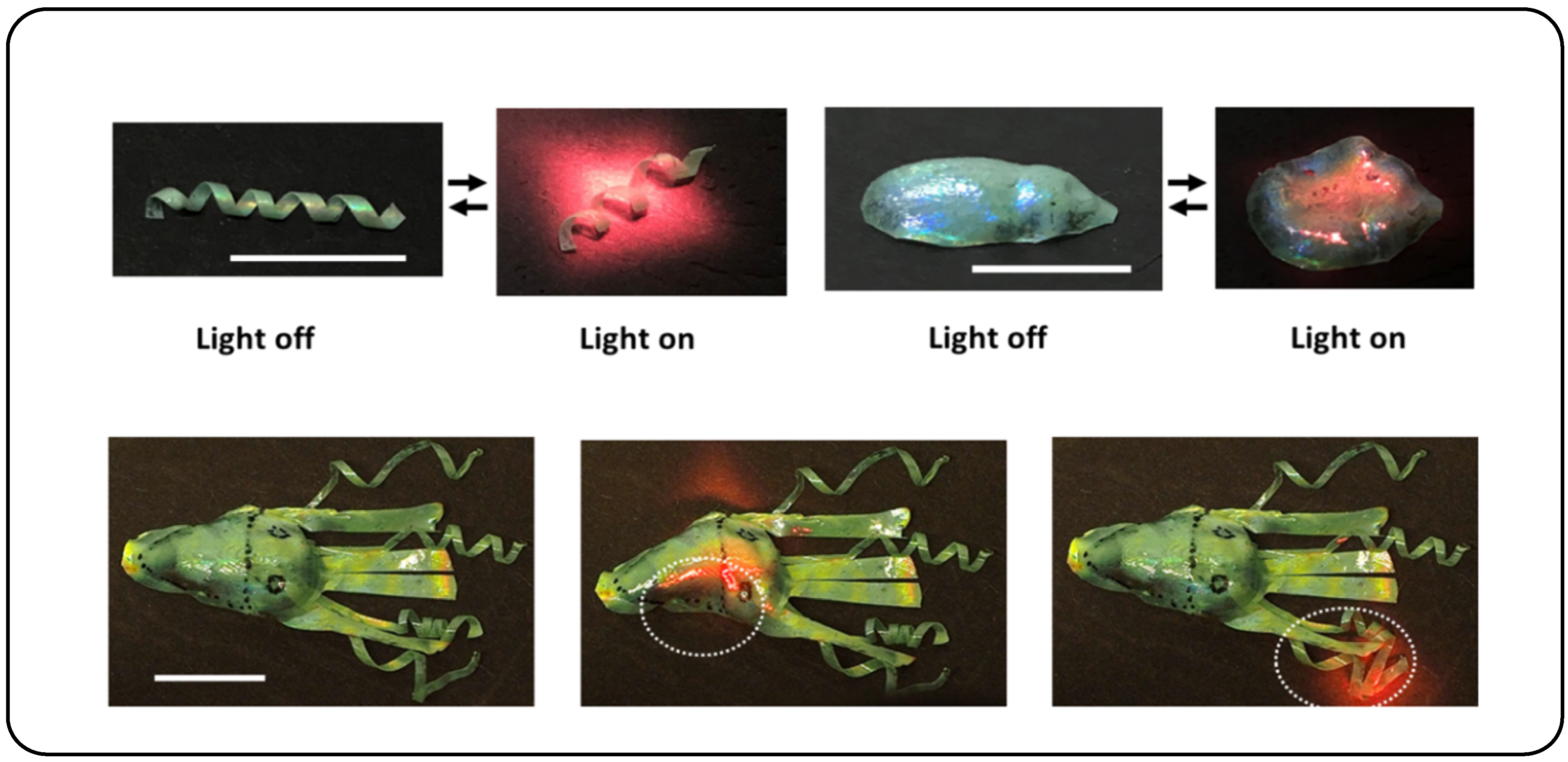 Micromachines 15 00808 g018