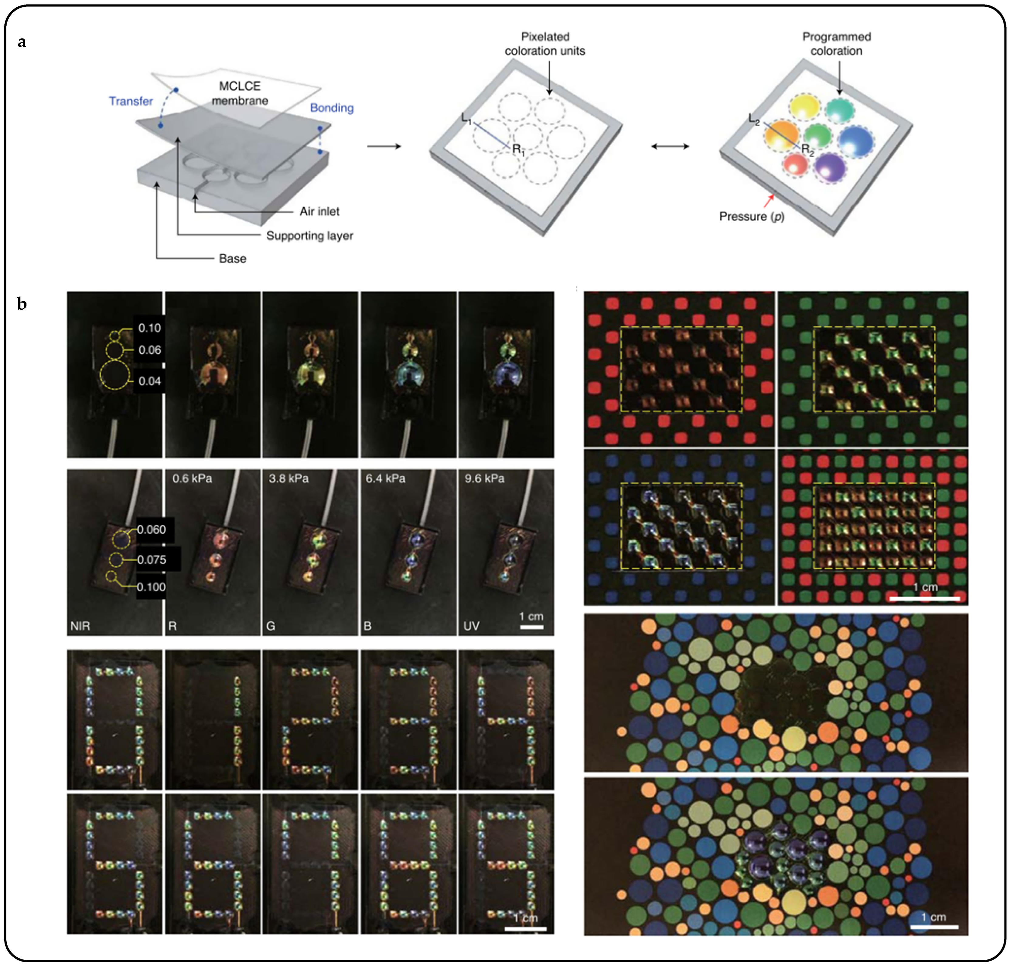 Beyond Color Boundaries: Pioneering Developments in
