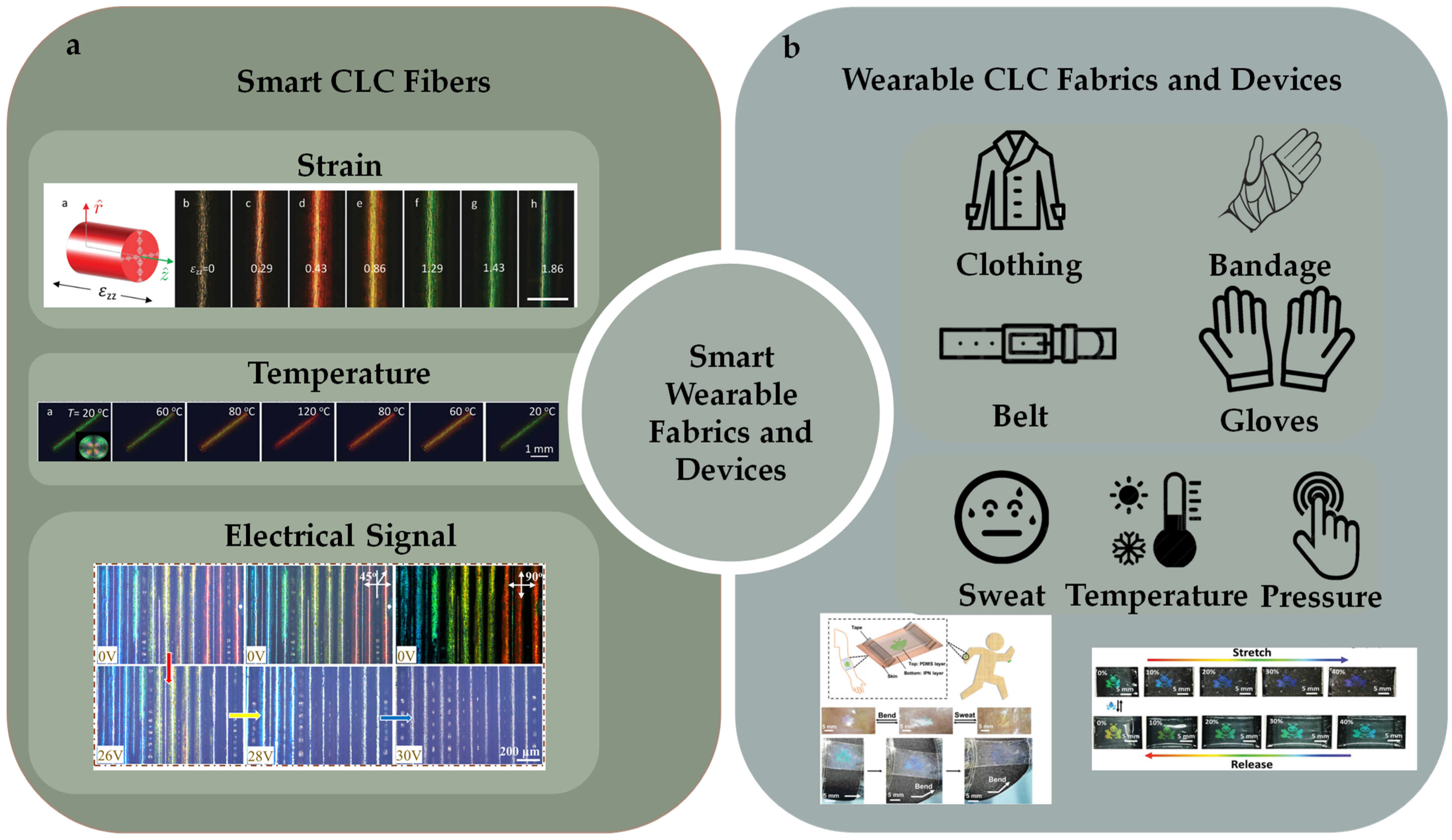 Micromachines 15 00808 g024