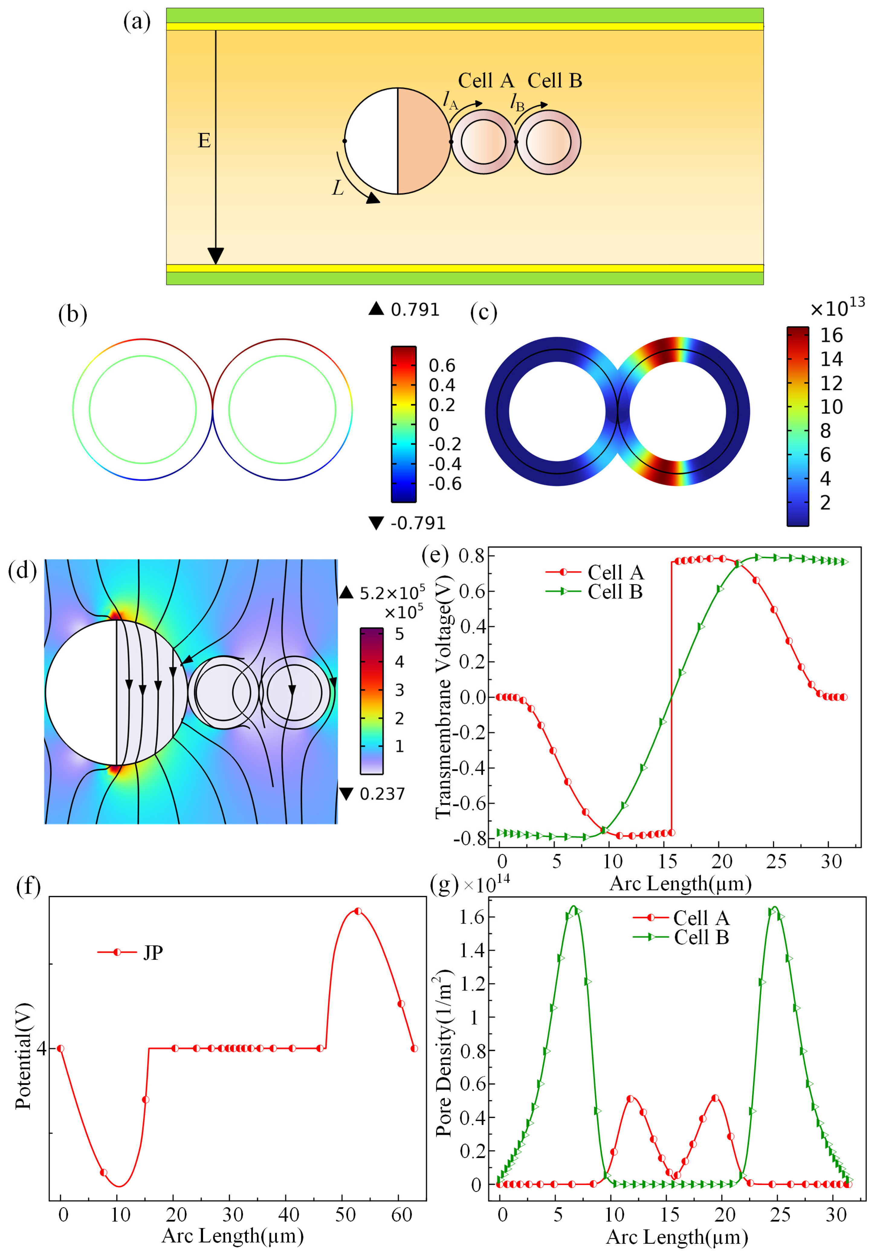 Micromachines 15 00819 g005