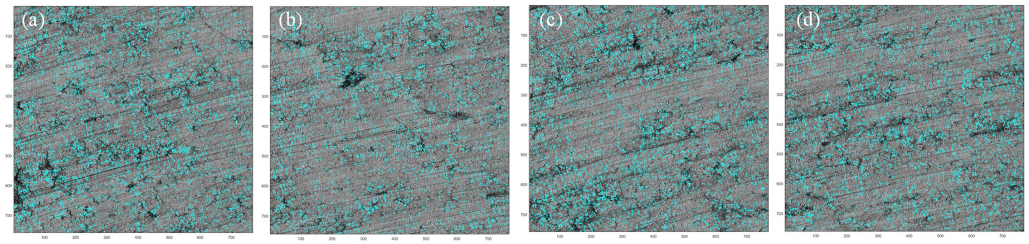 Micromachines 15 00834 g006