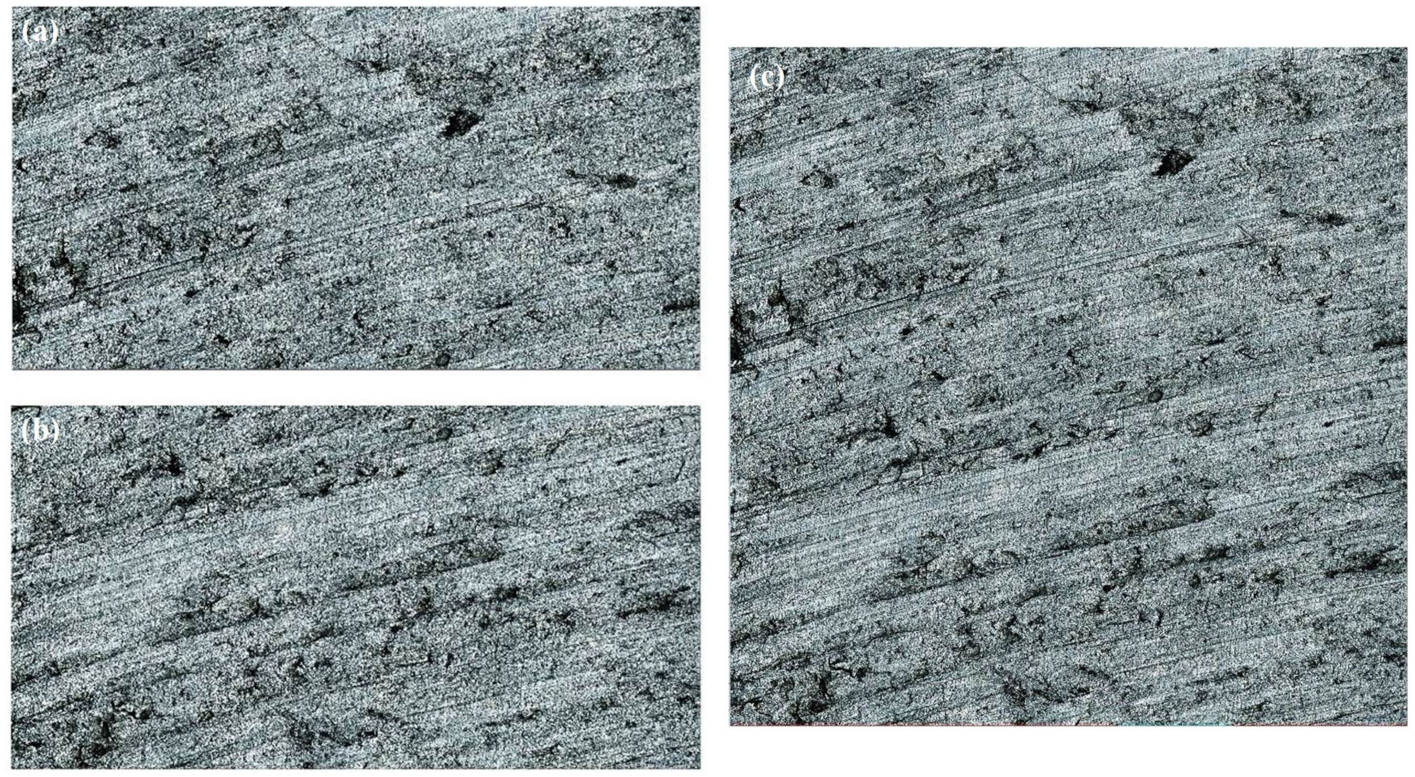 Micromachines 15 00834 g011