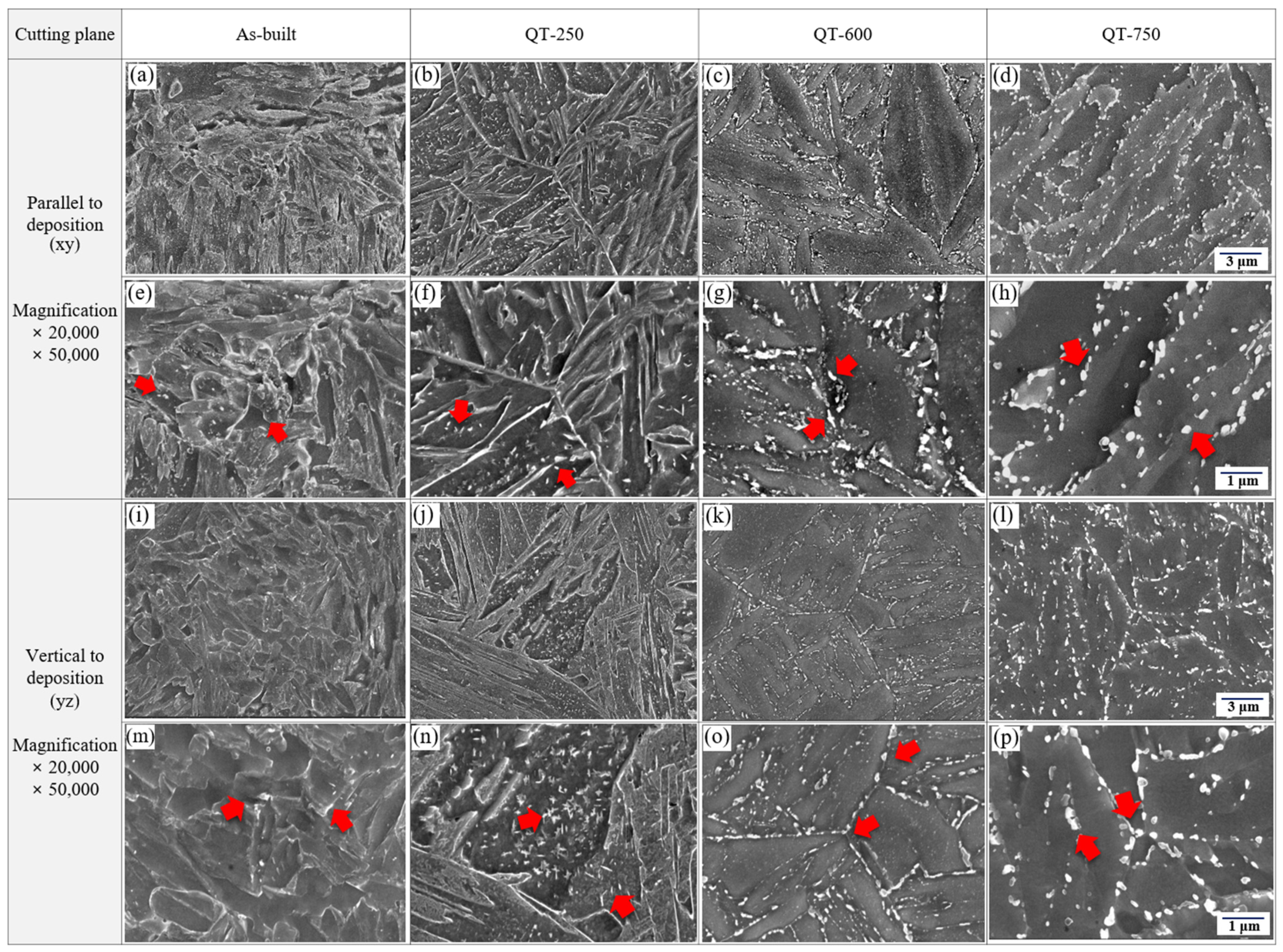 Micromachines 15 00837 g008