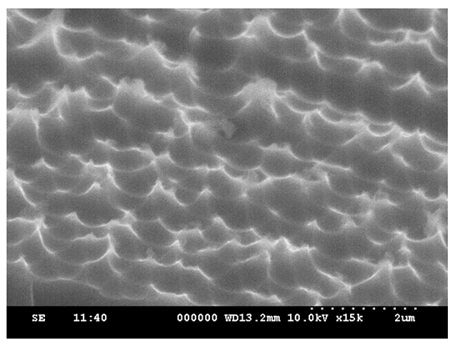 Micromachines 15 00841 i004