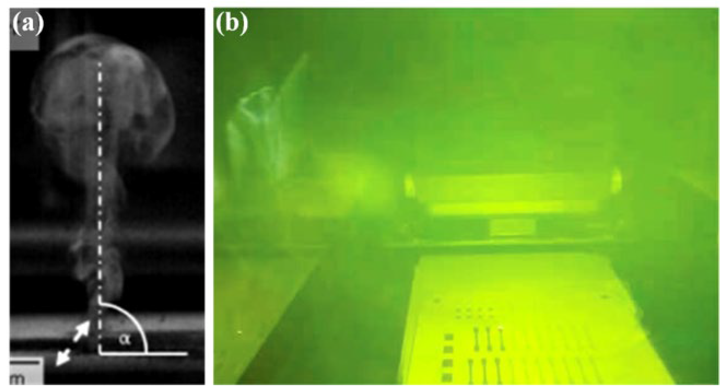 Micromachines 15 00846 g004