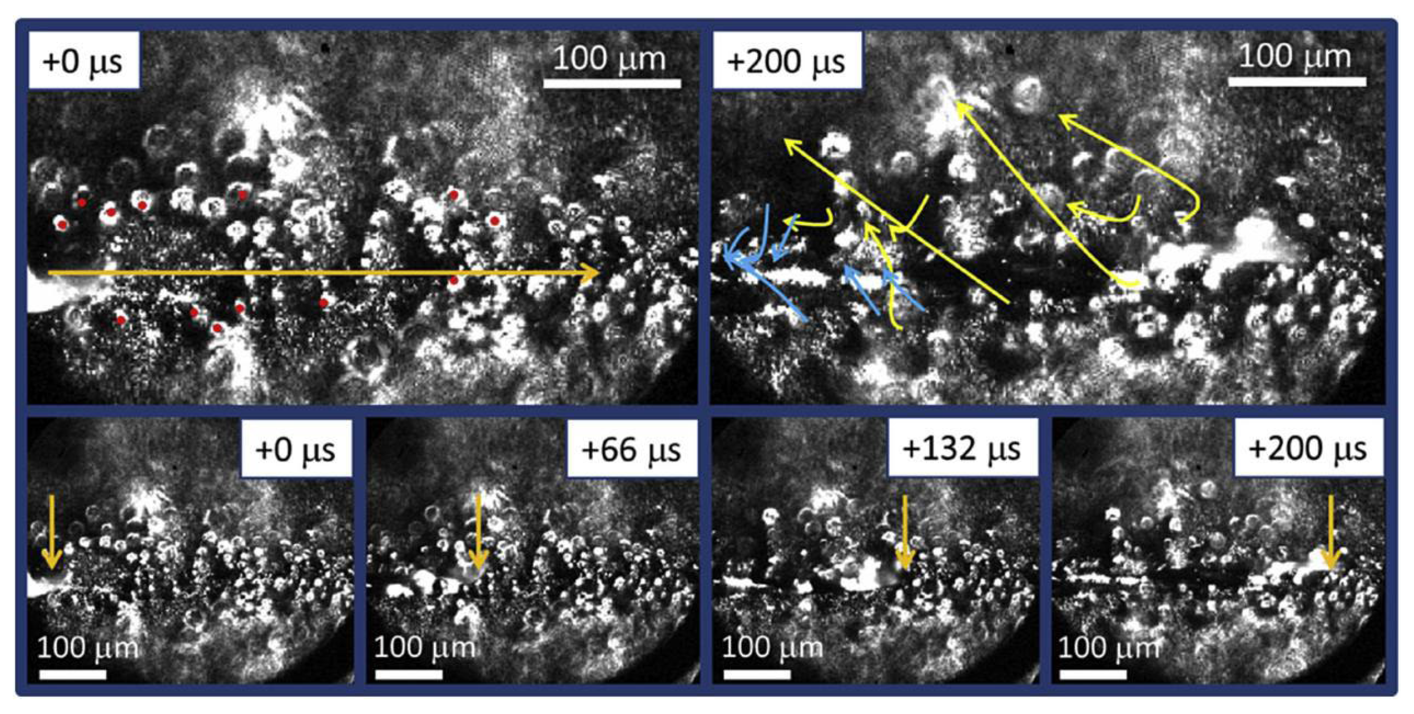 Micromachines 15 00846 g015