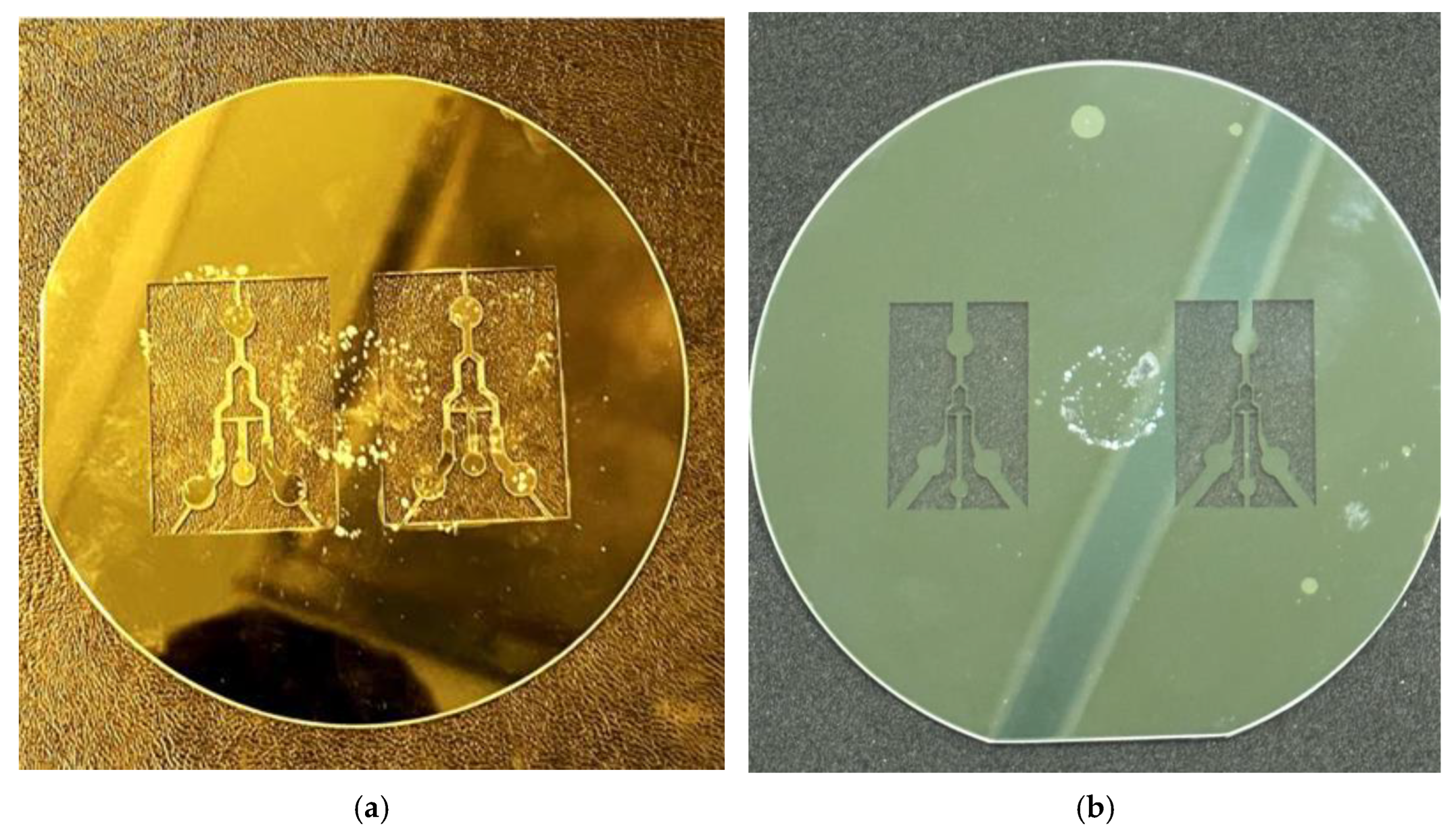 Micromachines 15 00848 g004