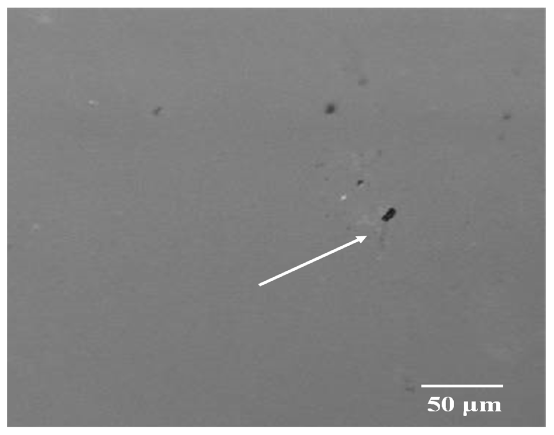 Micromachines 15 00853 g004