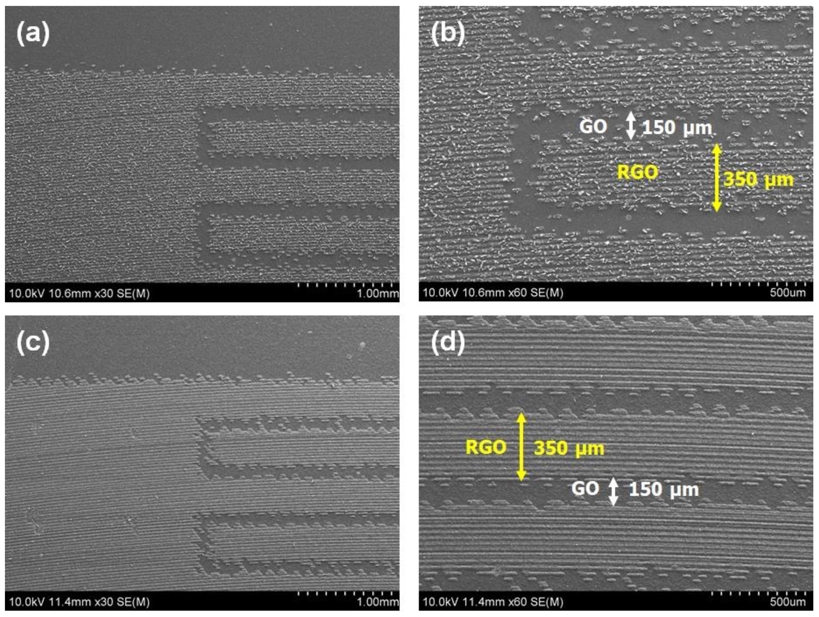 Micromachines 15 00858 g003
