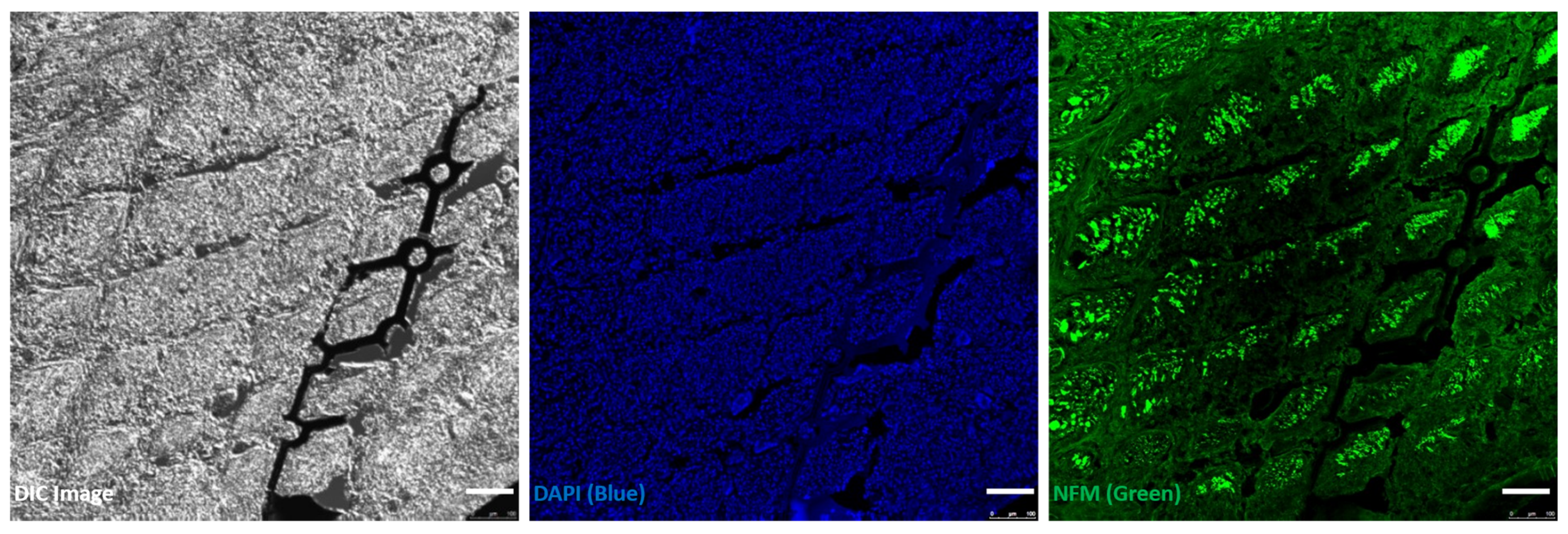 Micromachines 15 00862 g009