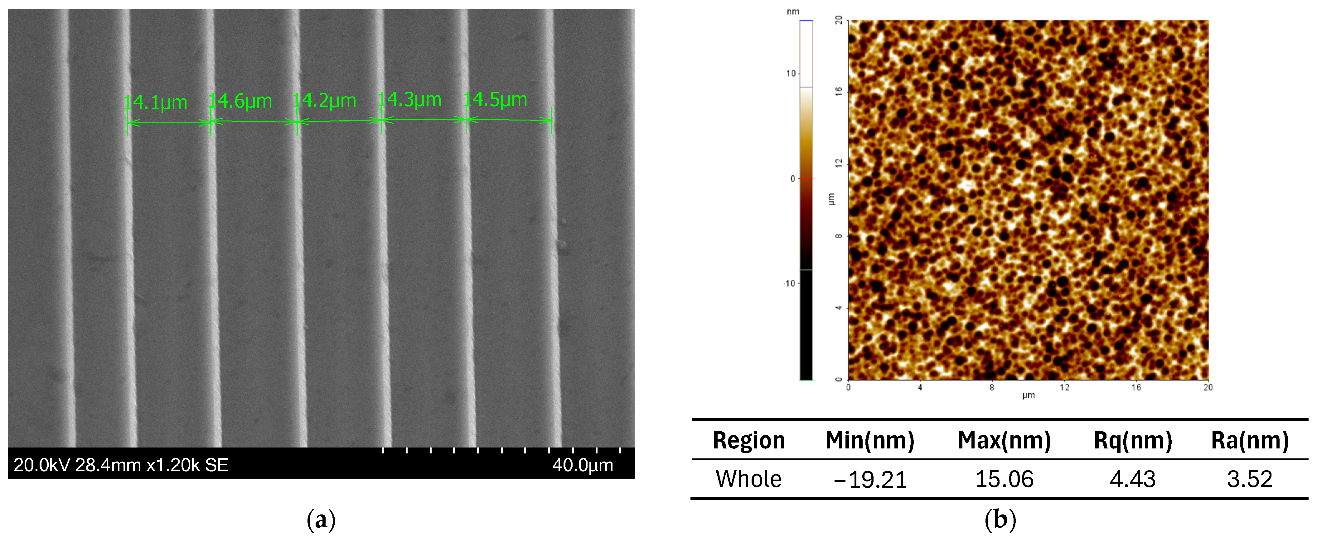 Micromachines 15 00866 g010