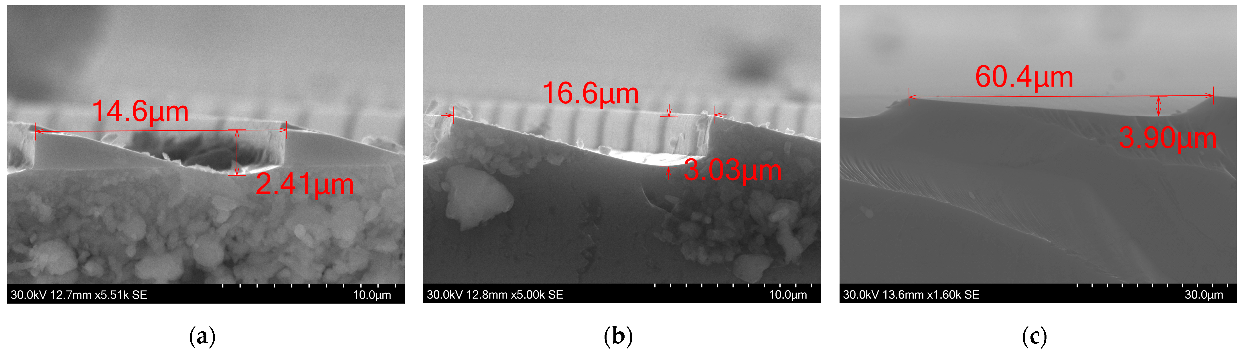 Micromachines 15 00866 g011