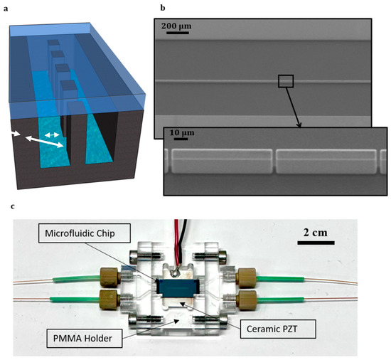 Characterizing Acoustic Behavior of Silicon Microchannels 