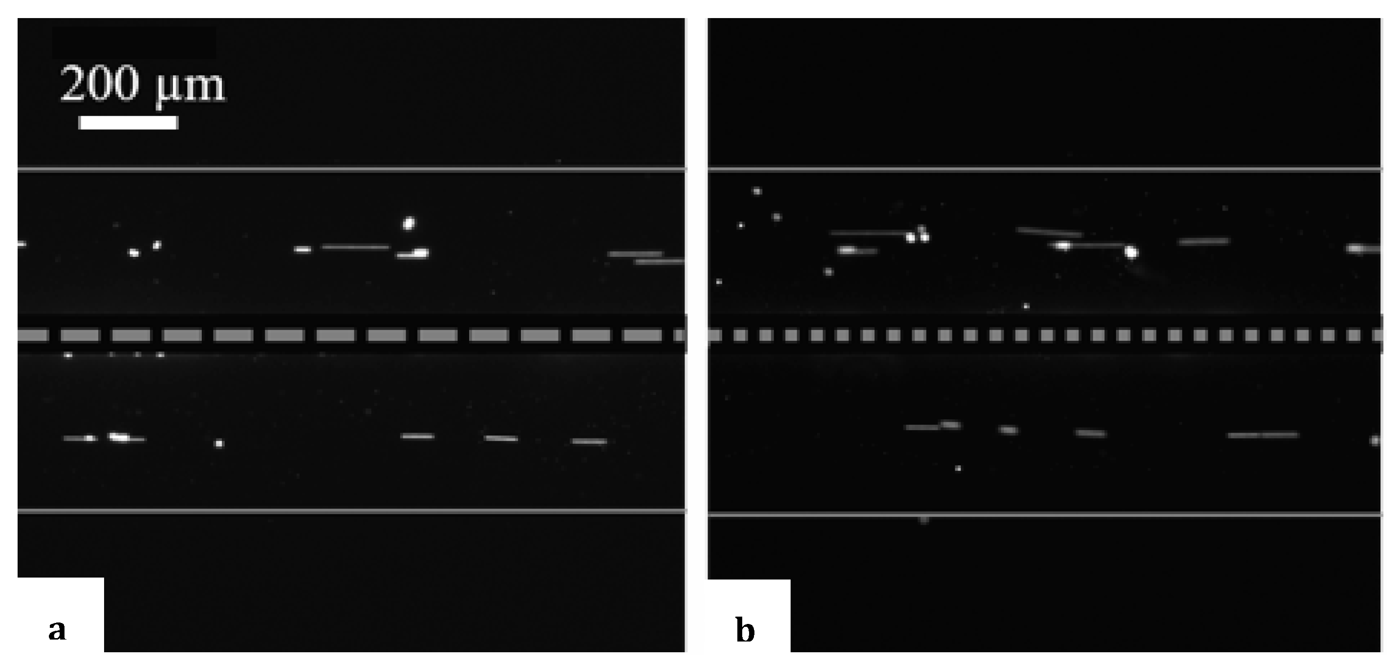 Micromachines 15 00868 g002