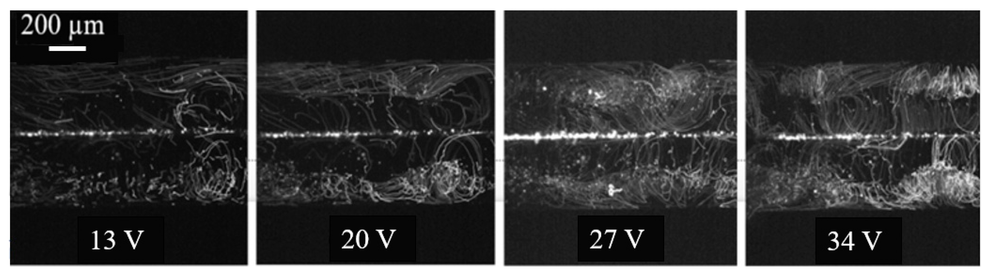 Micromachines 15 00868 g003