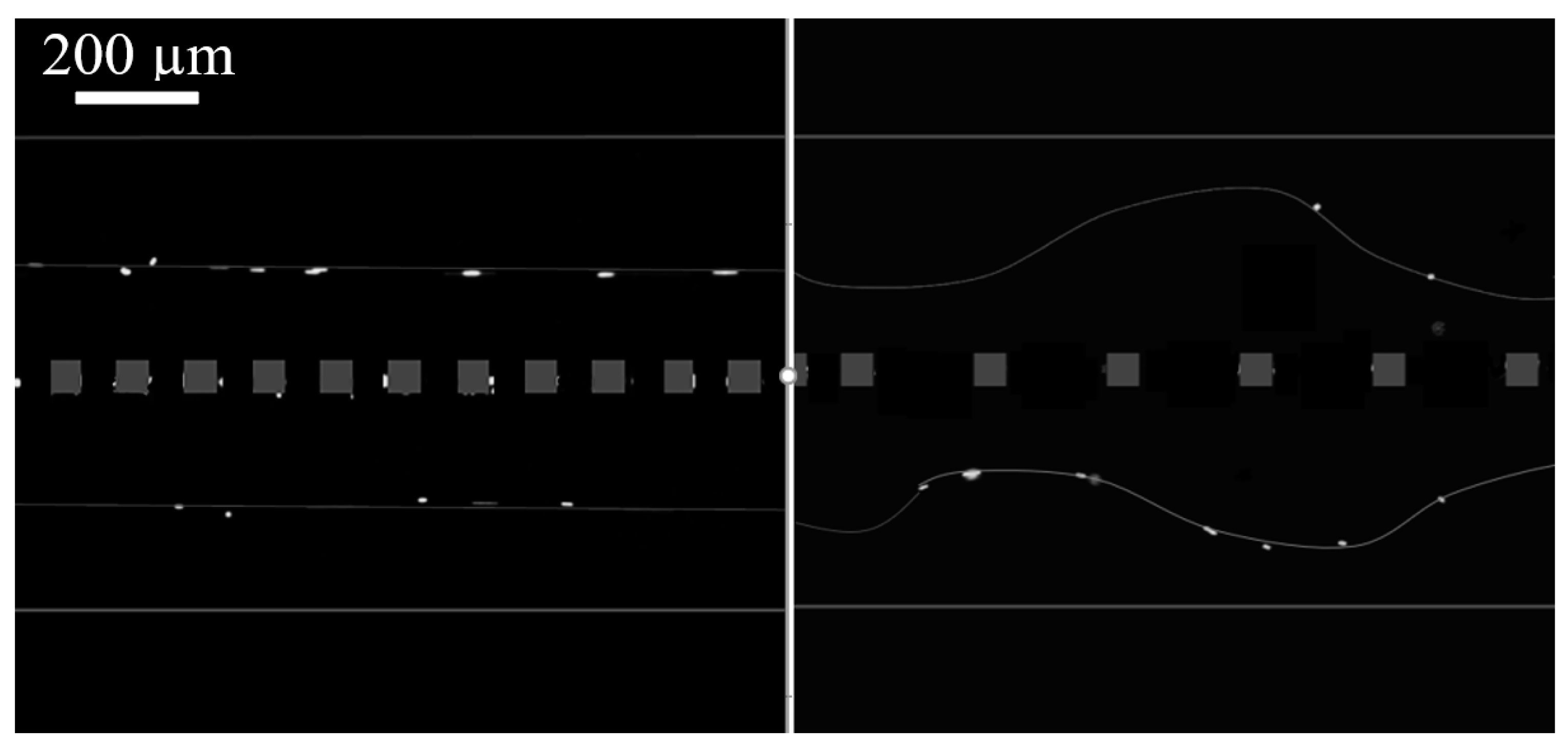 Micromachines 15 00868 g007