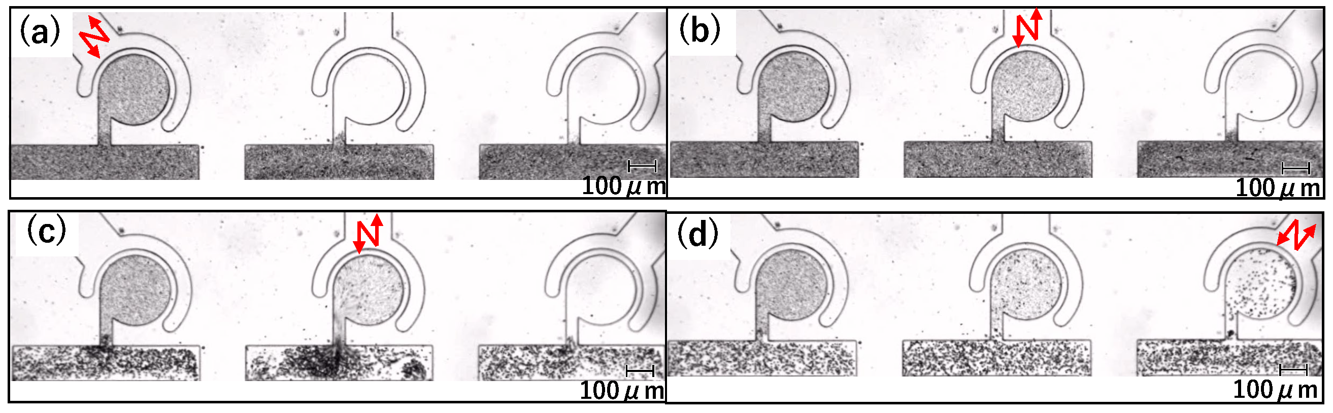 Micromachines 15 00869 g009