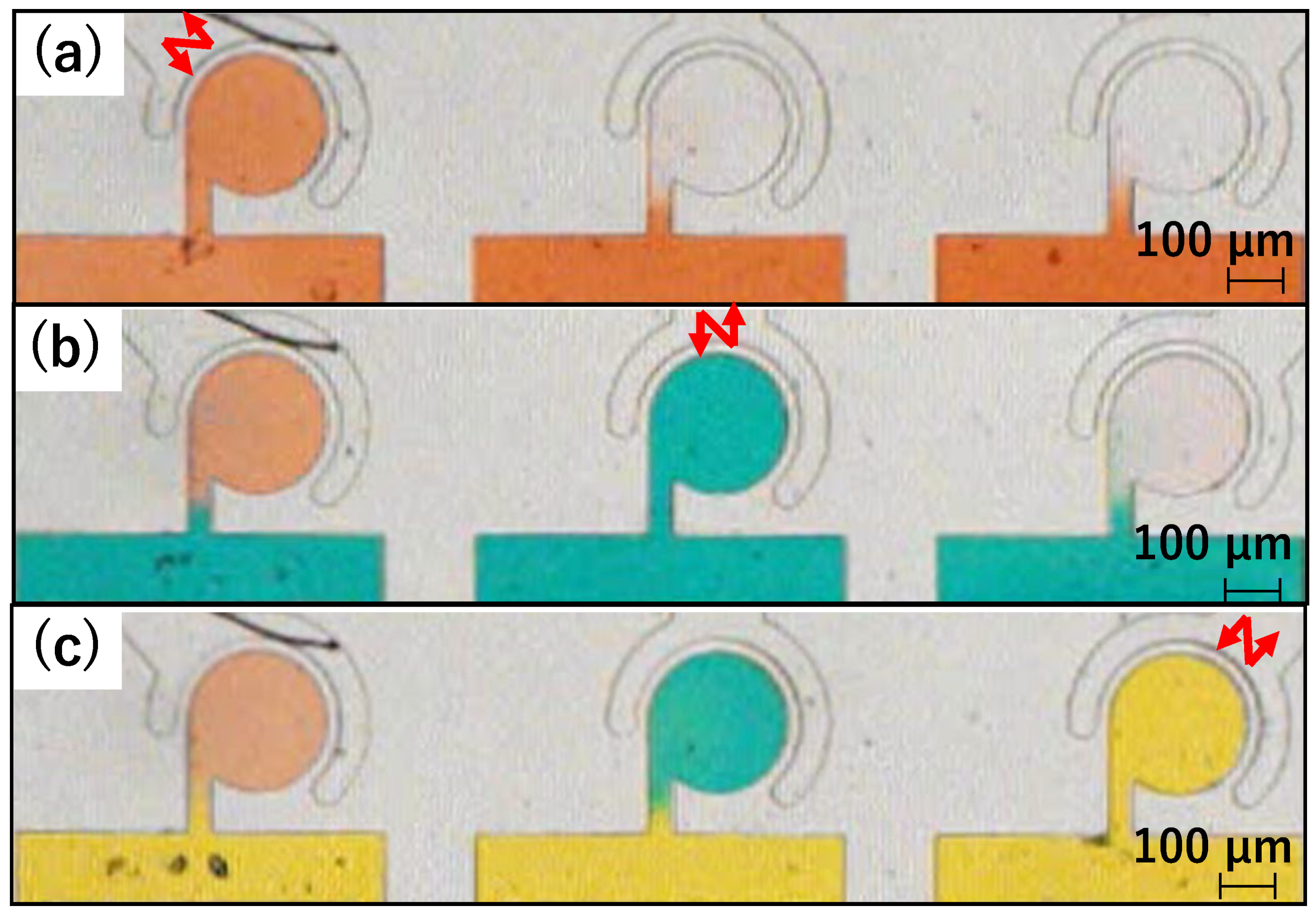 Micromachines 15 00869 g012
