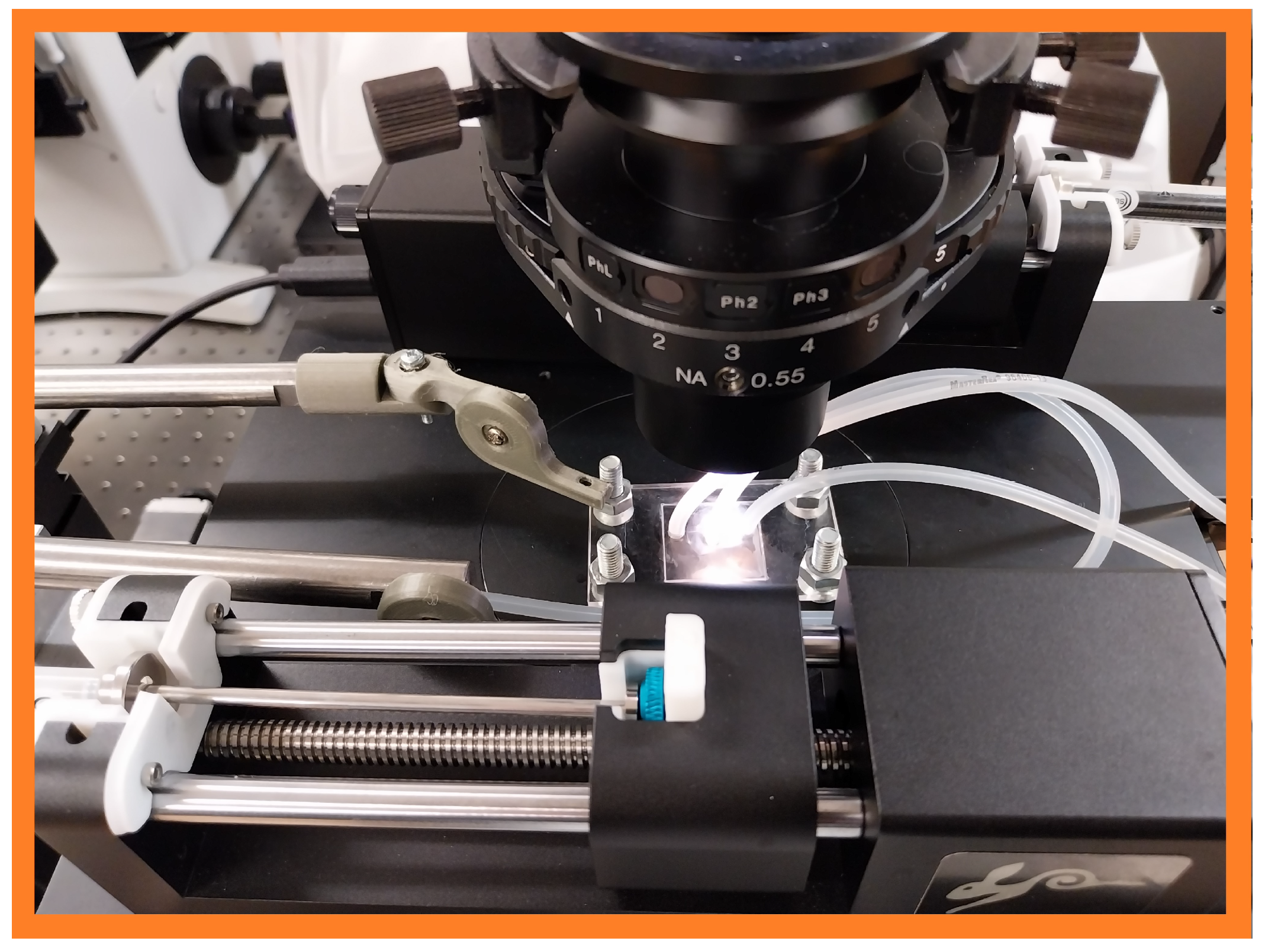 Micromachines 15 00905 g006