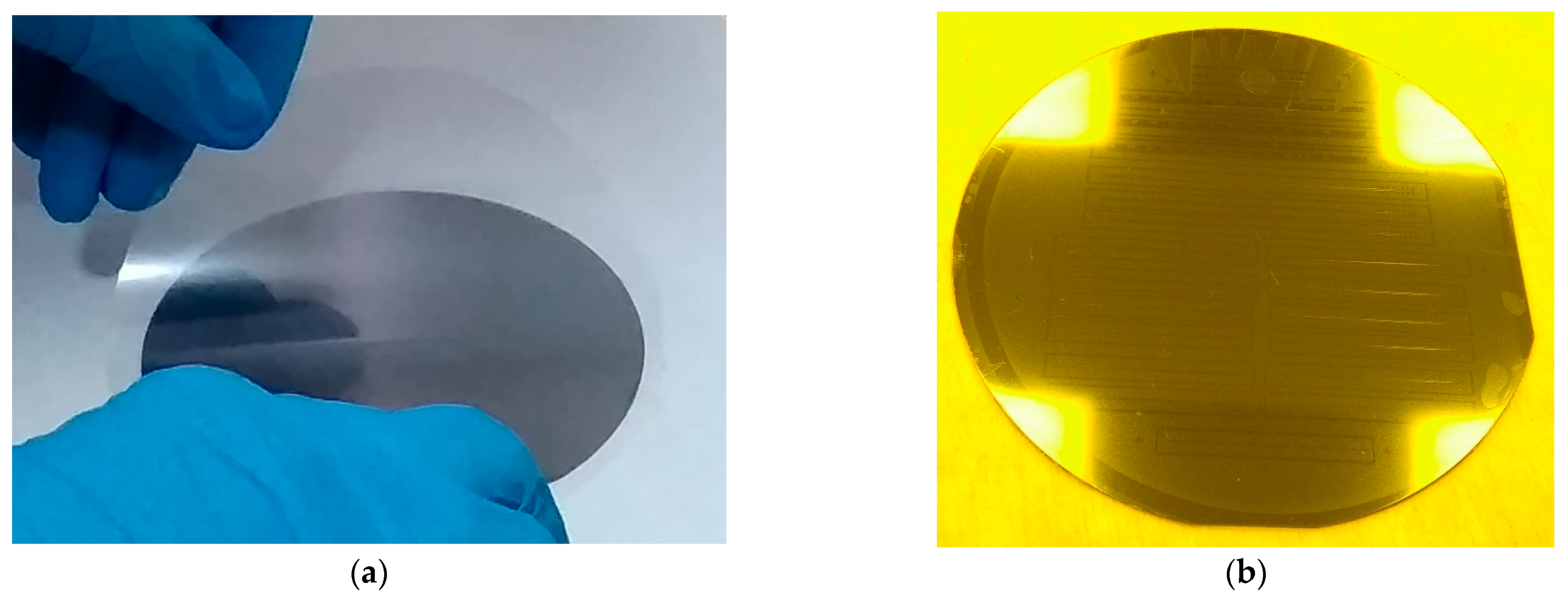 Micromachines 15 00921 g011a